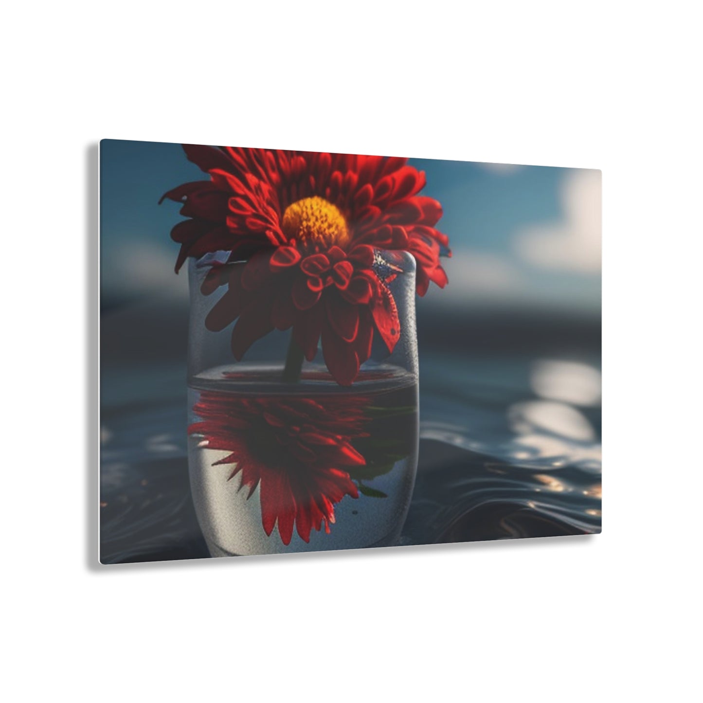 Acrylic Prints Chrysanthemum 3