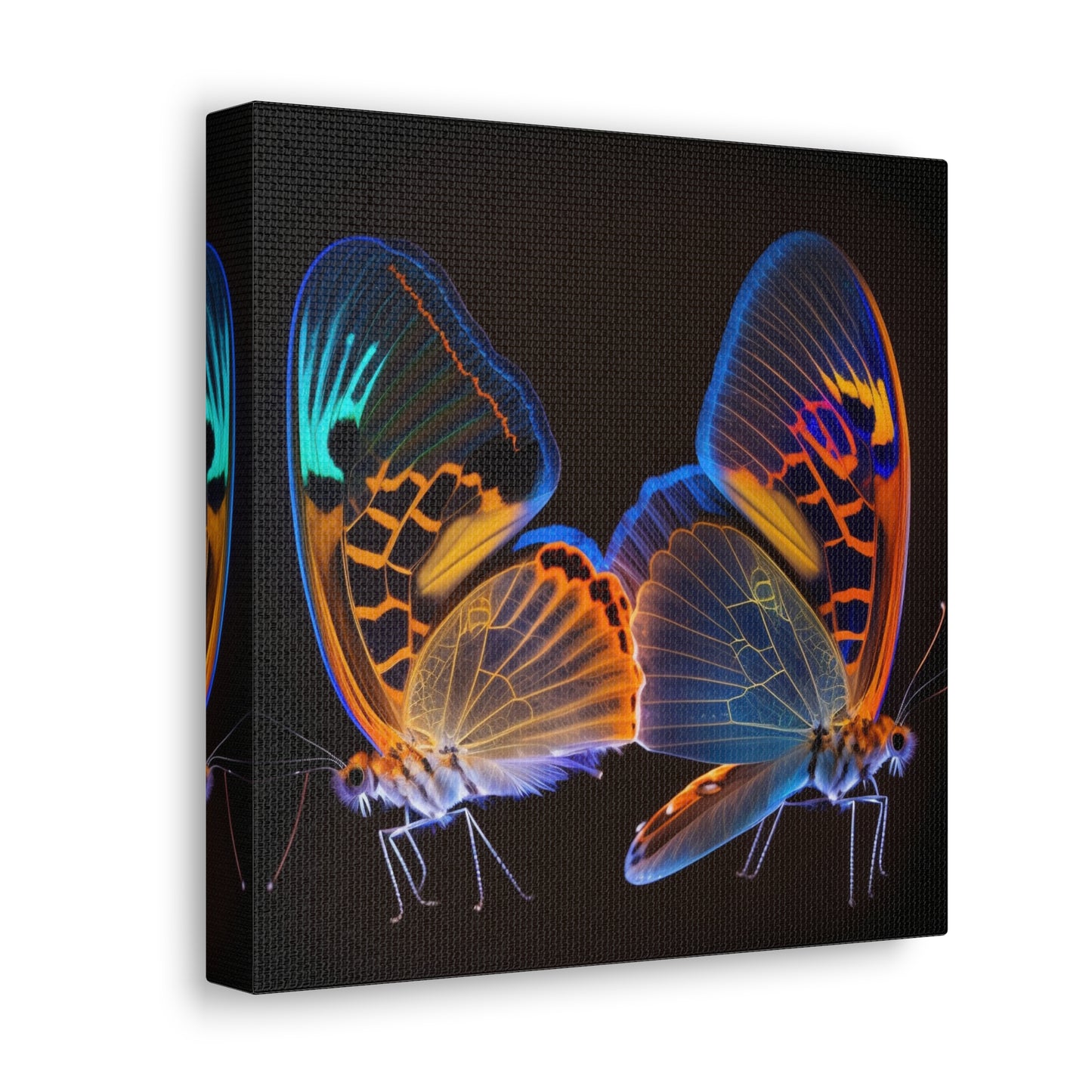 Canvas Gallery Wraps Neon Glo Butterfly 2