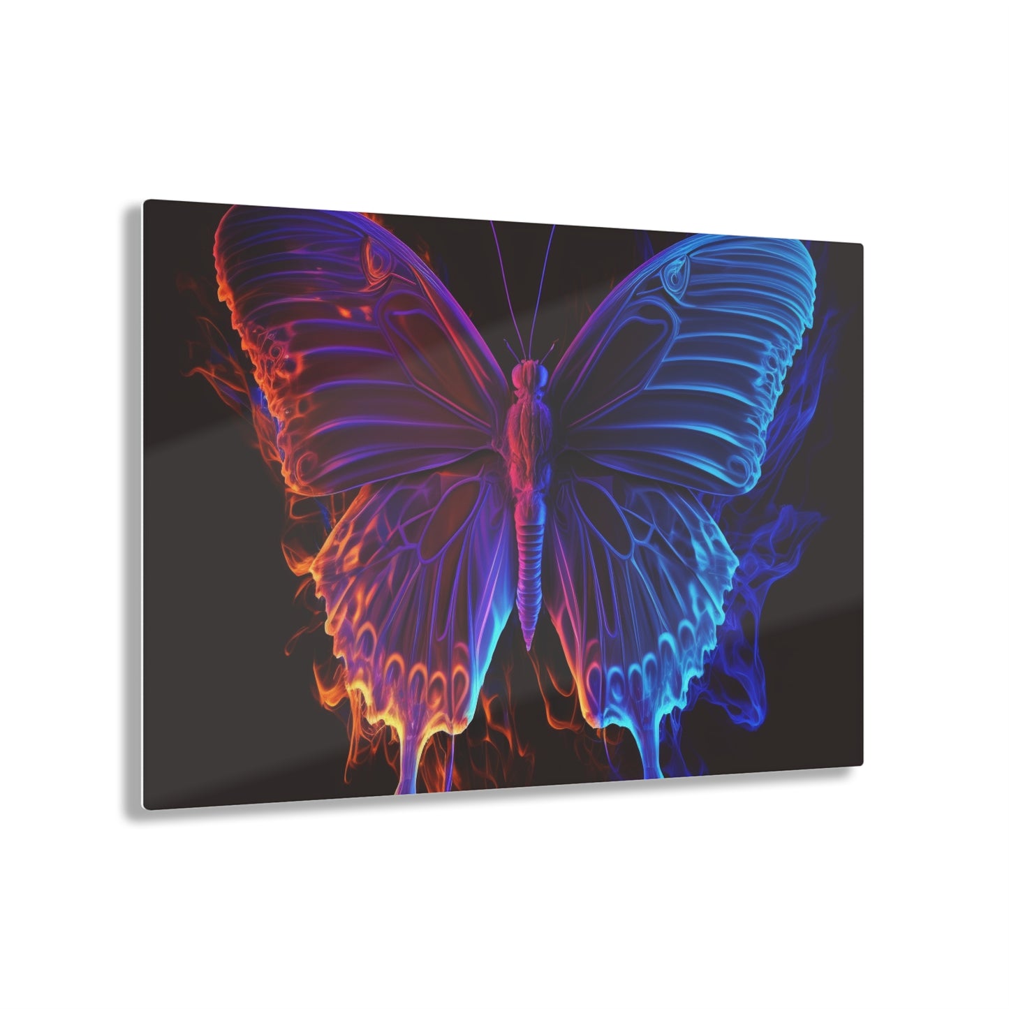 Acrylic Prints Thermal Butterfly 1