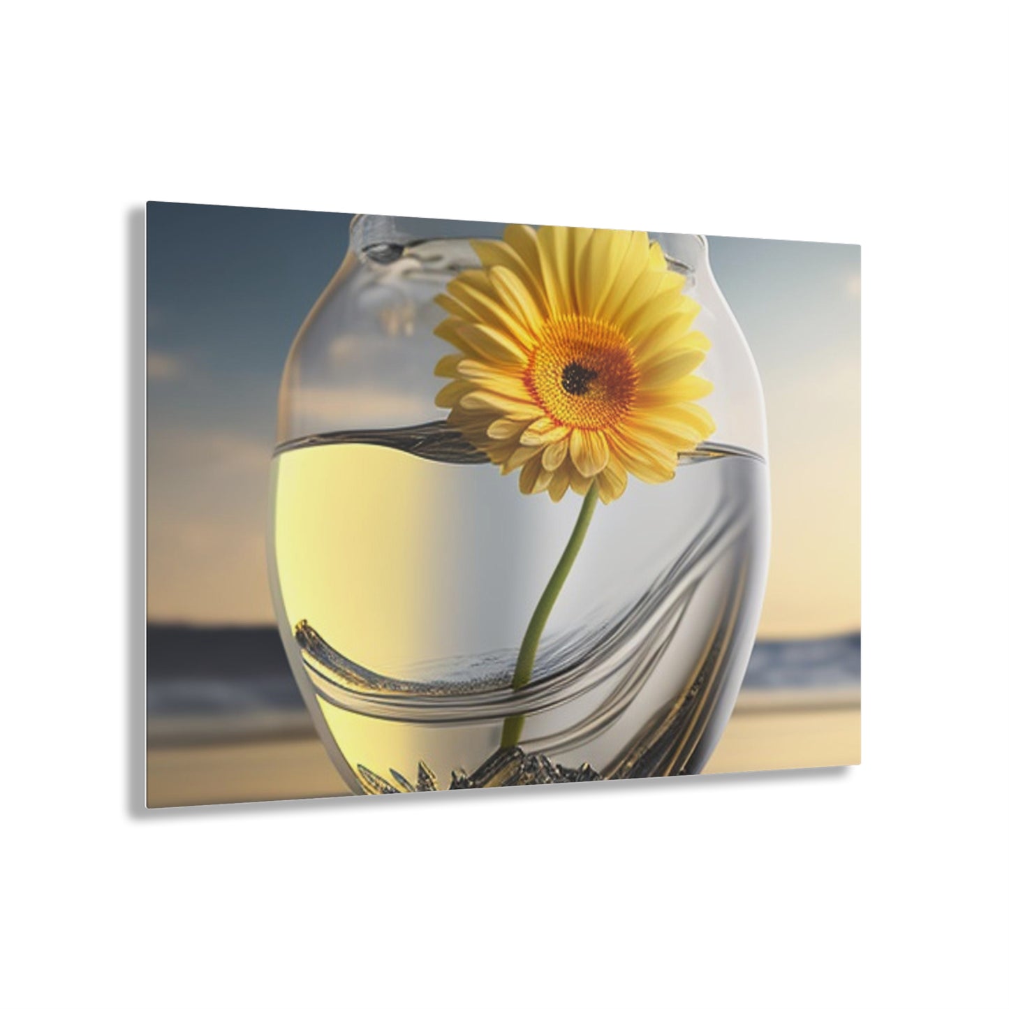 Acrylic Prints yello Gerbera glass 1