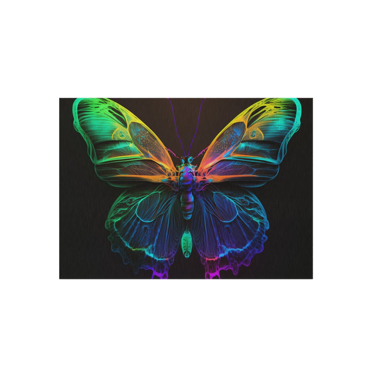 Outdoor Rug  Raw Hyper Color Butterfly 3