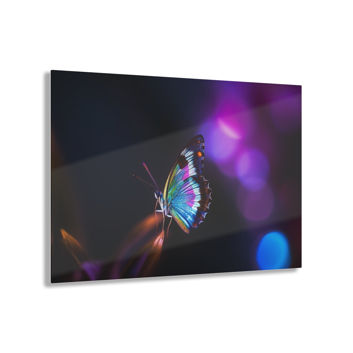 Acrylic Prints Photo Realistic Butterfly 1