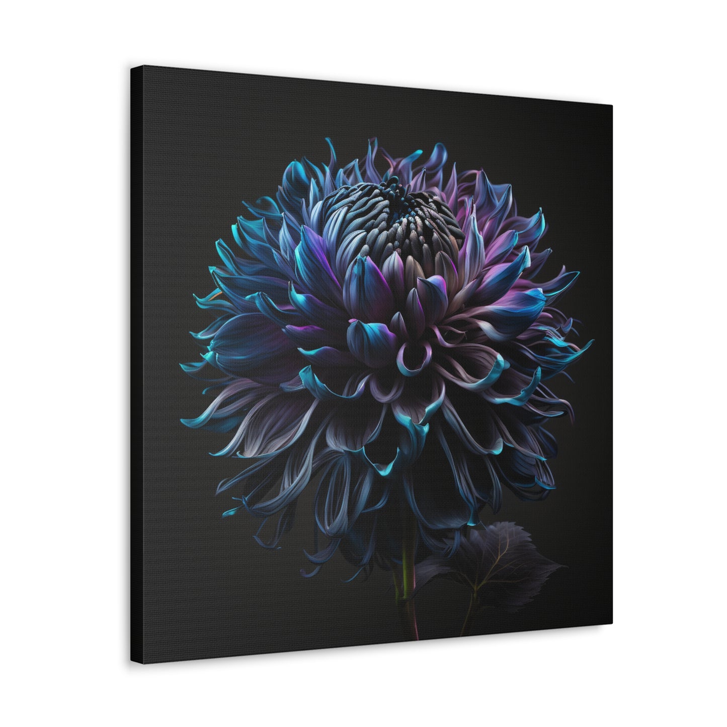 Canvas Gallery Wraps Dahlia Purple 3