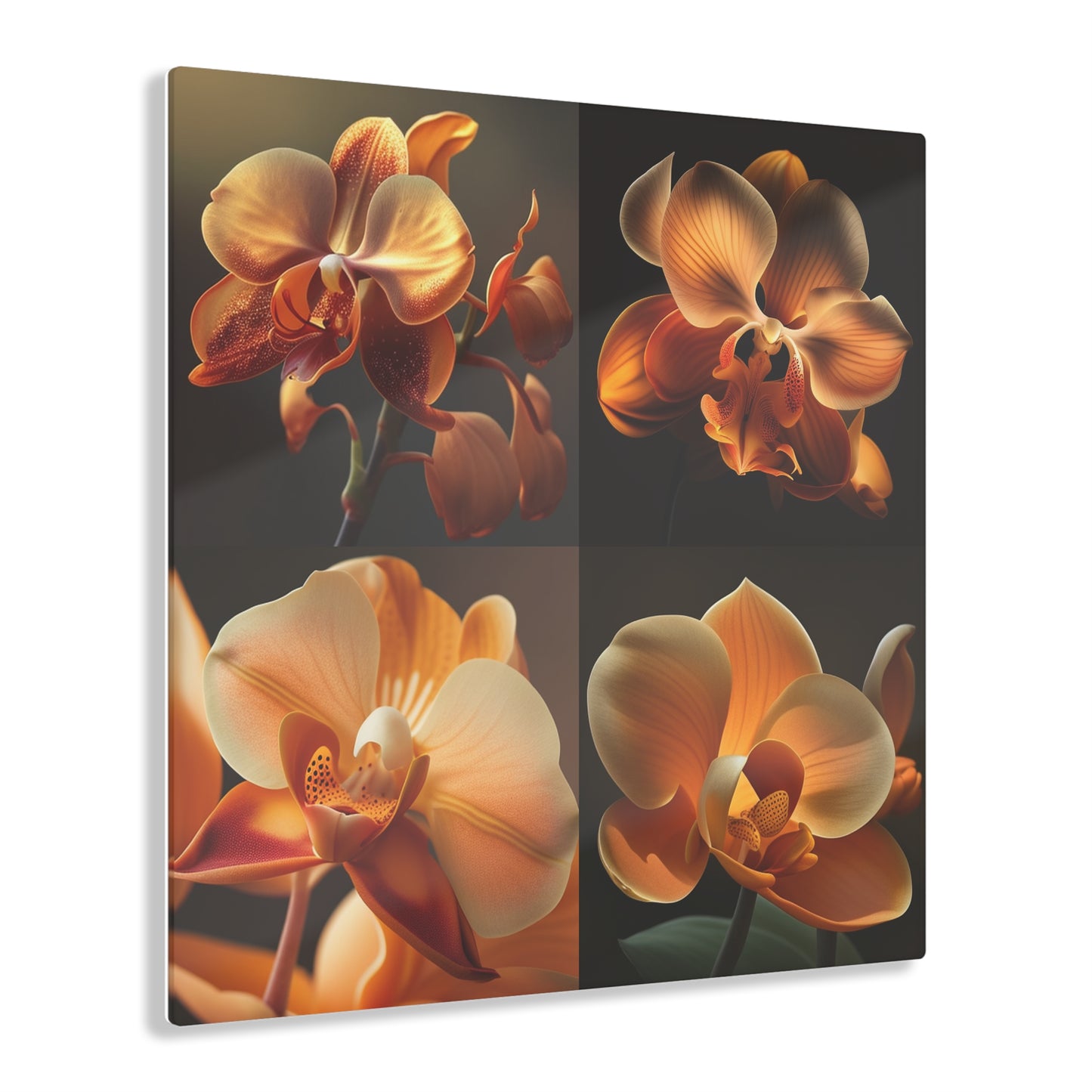 Acrylic Prints Orange Orchid 5