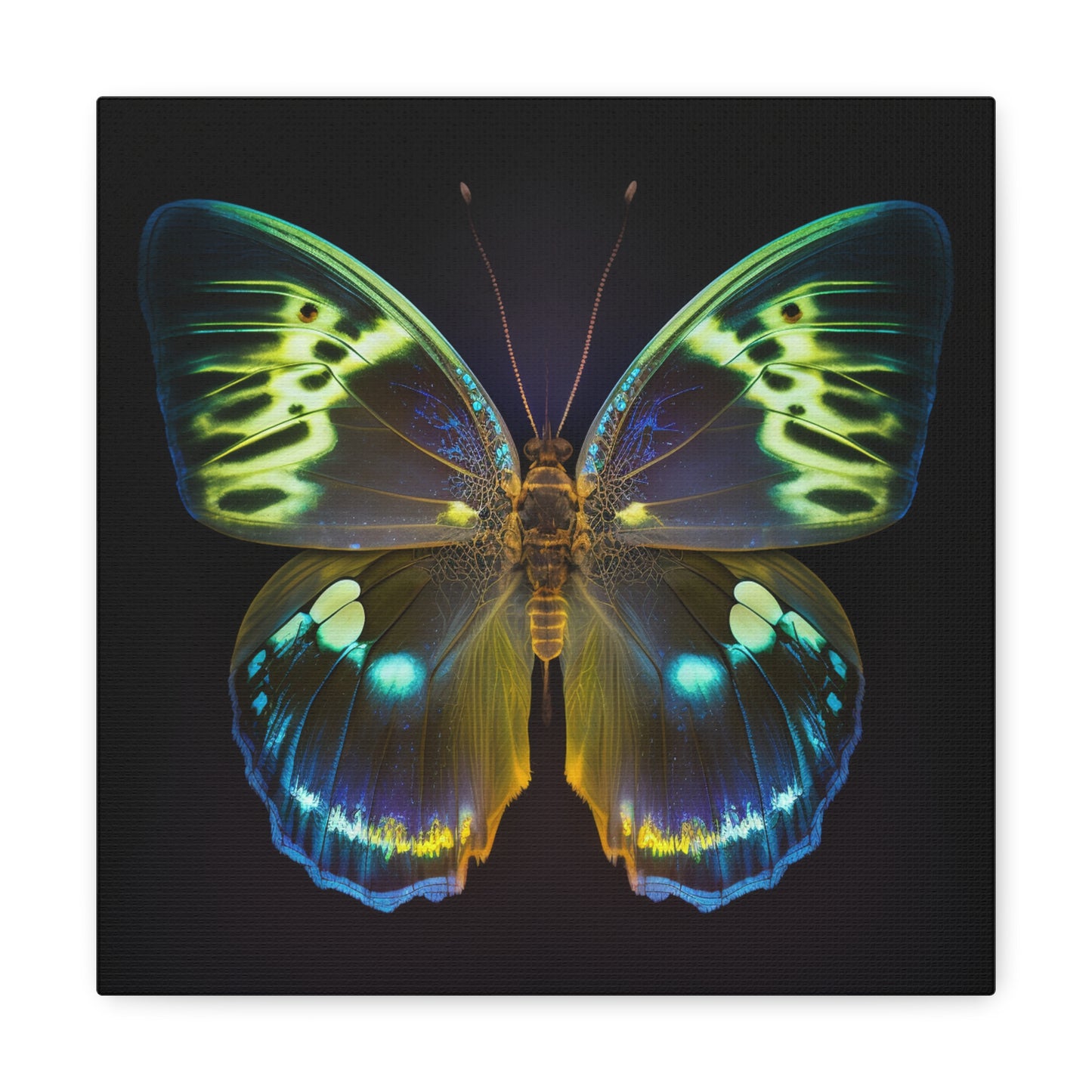 Canvas Gallery Wraps Neon Hue Butterfly 1