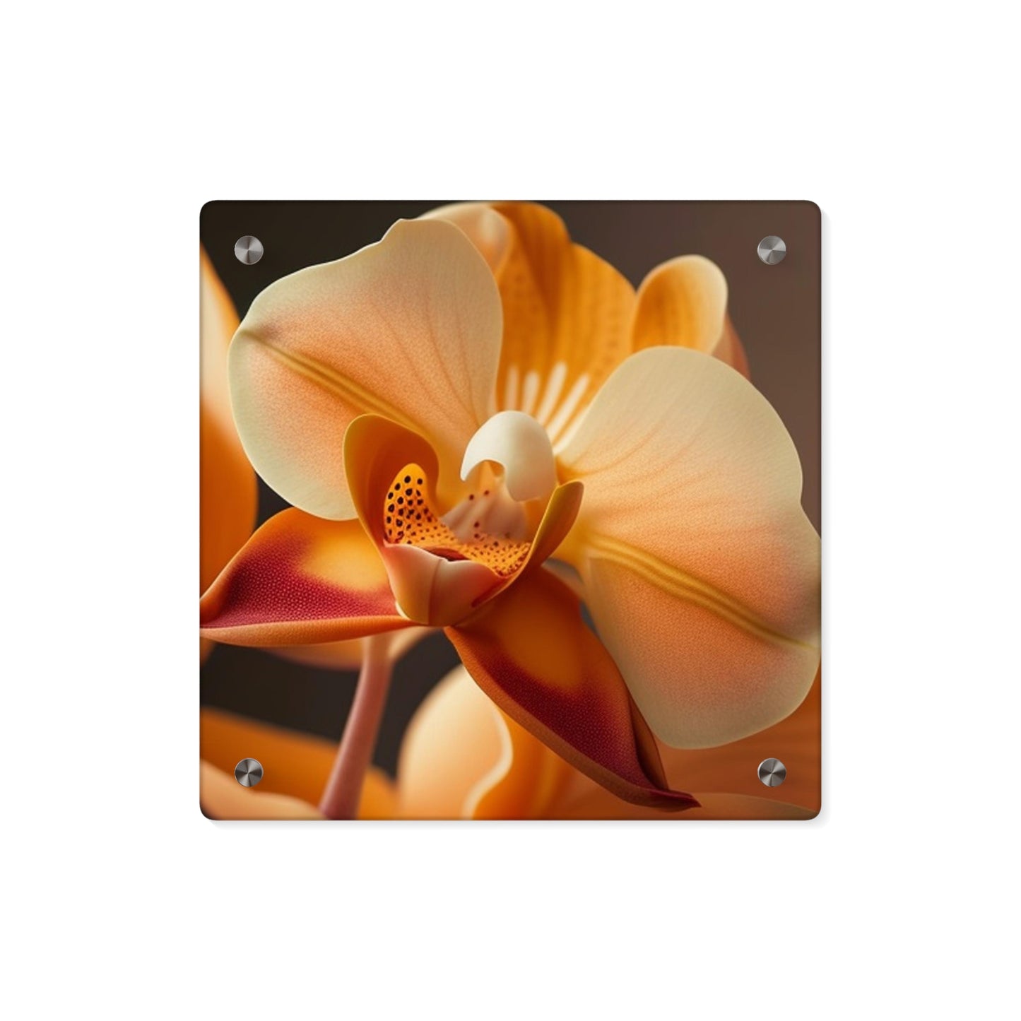 Acrylic Wall Art Panels Orange Orchid 3