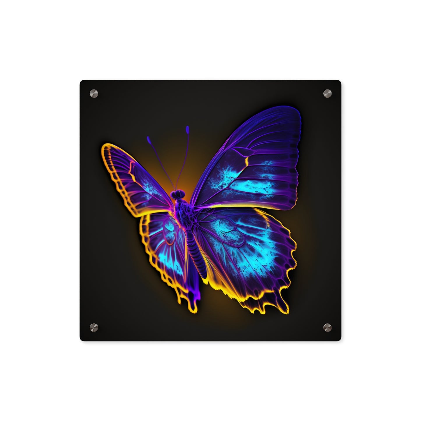 Acrylic Wall Art Panels Thermal Butterfly 4