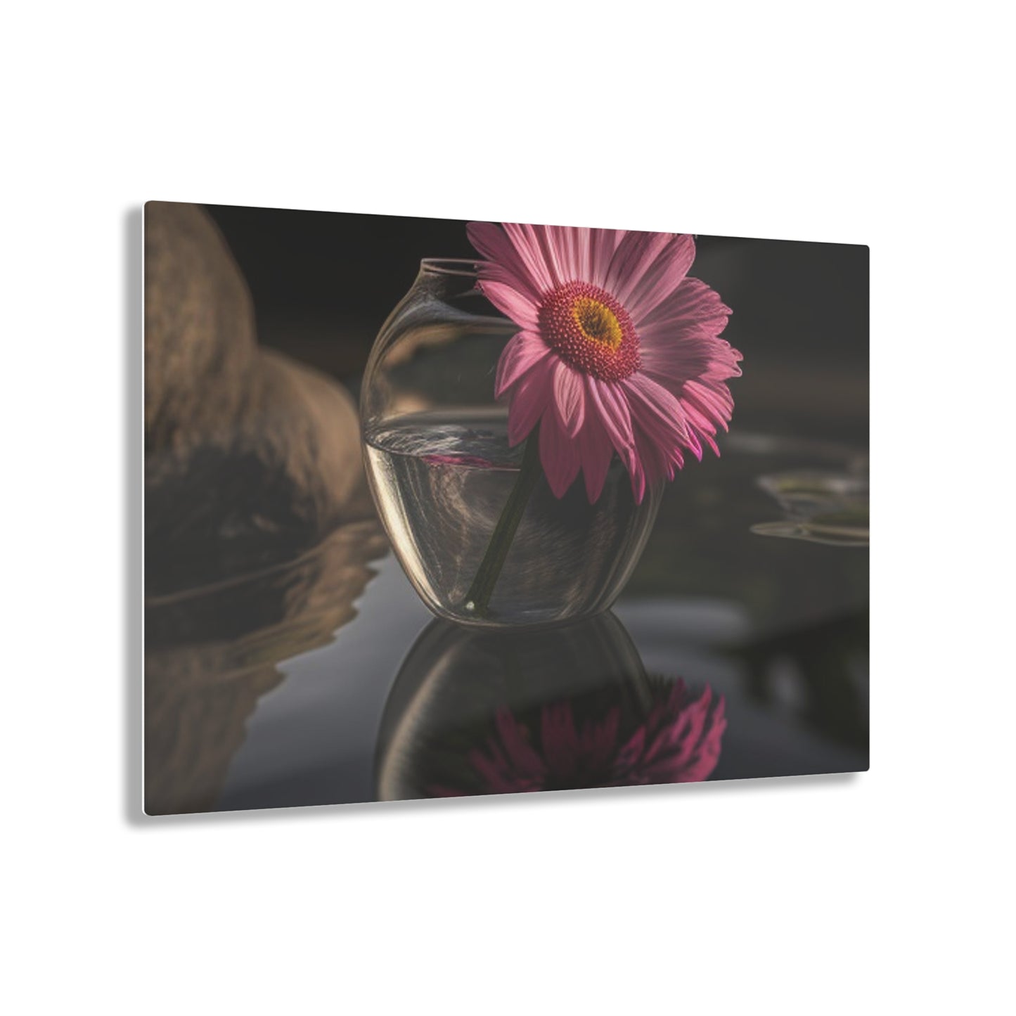 Acrylic Prints Pink Daisy 2