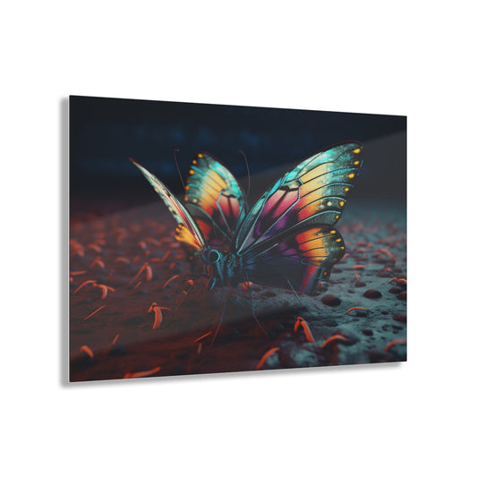 Acrylic Prints Hyper Colorful Butterfly Macro 1