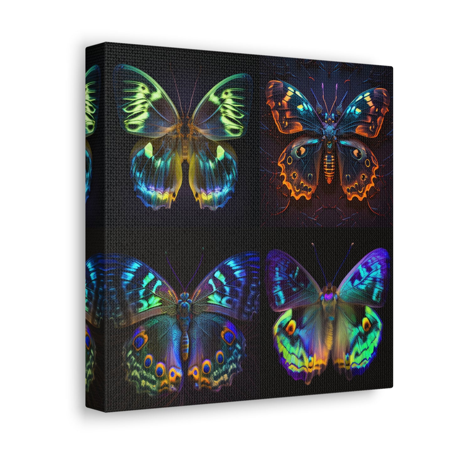 Canvas Gallery Wraps Neon Hue Butterfly 5