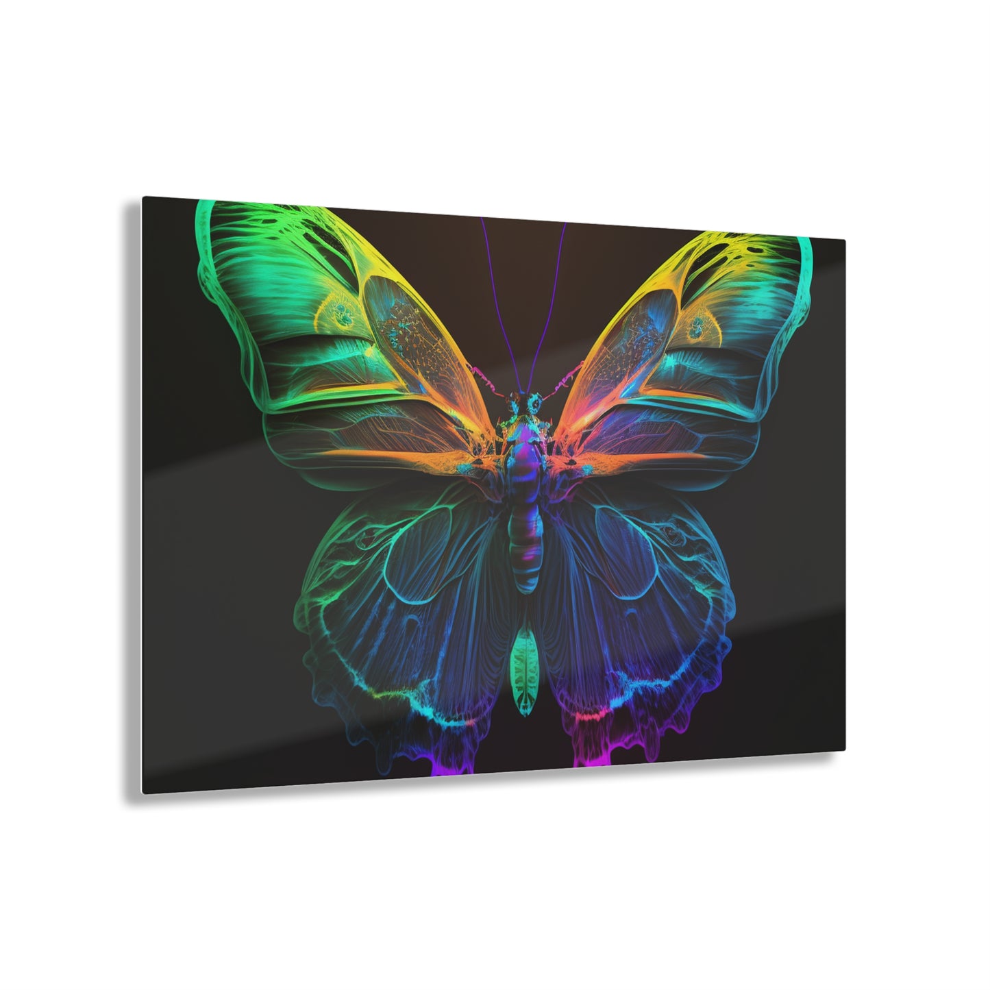 Acrylic Prints Raw Hyper Color Butterfly 3