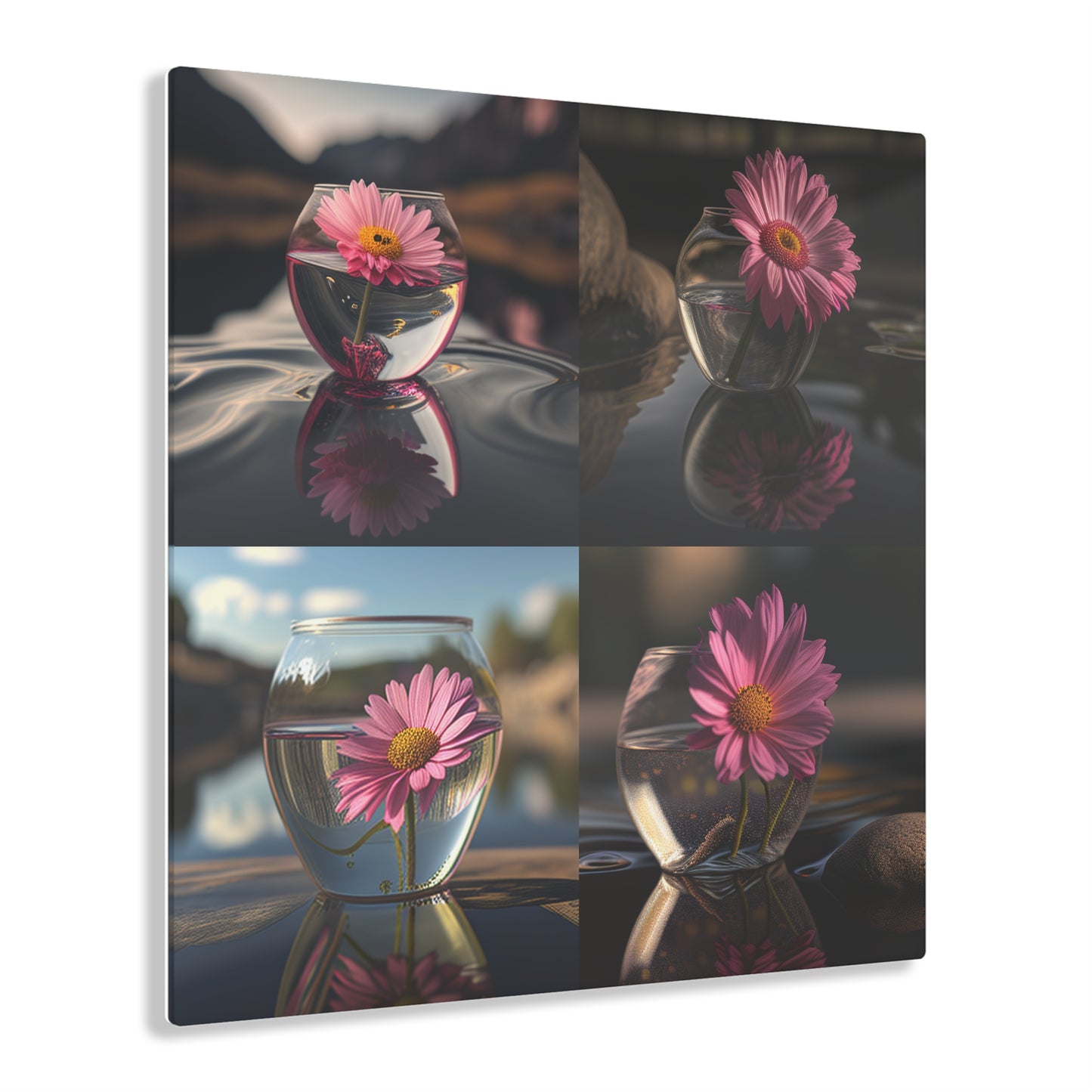 Acrylic Prints Pink Daisy 5