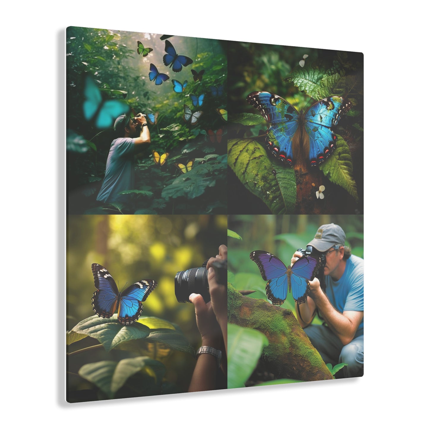 Acrylic Prints Jungle Butterfly 5