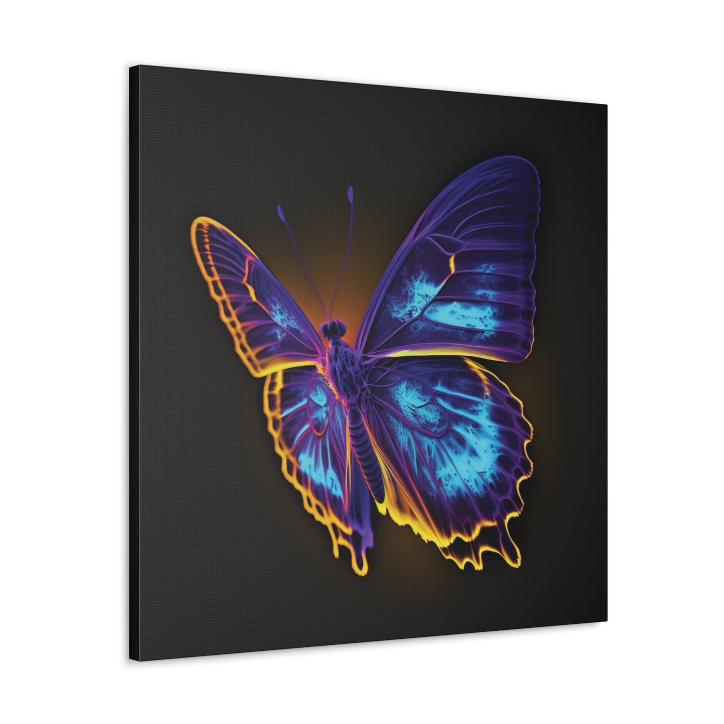 Canvas Gallery Wraps Thermal Butterfly 4