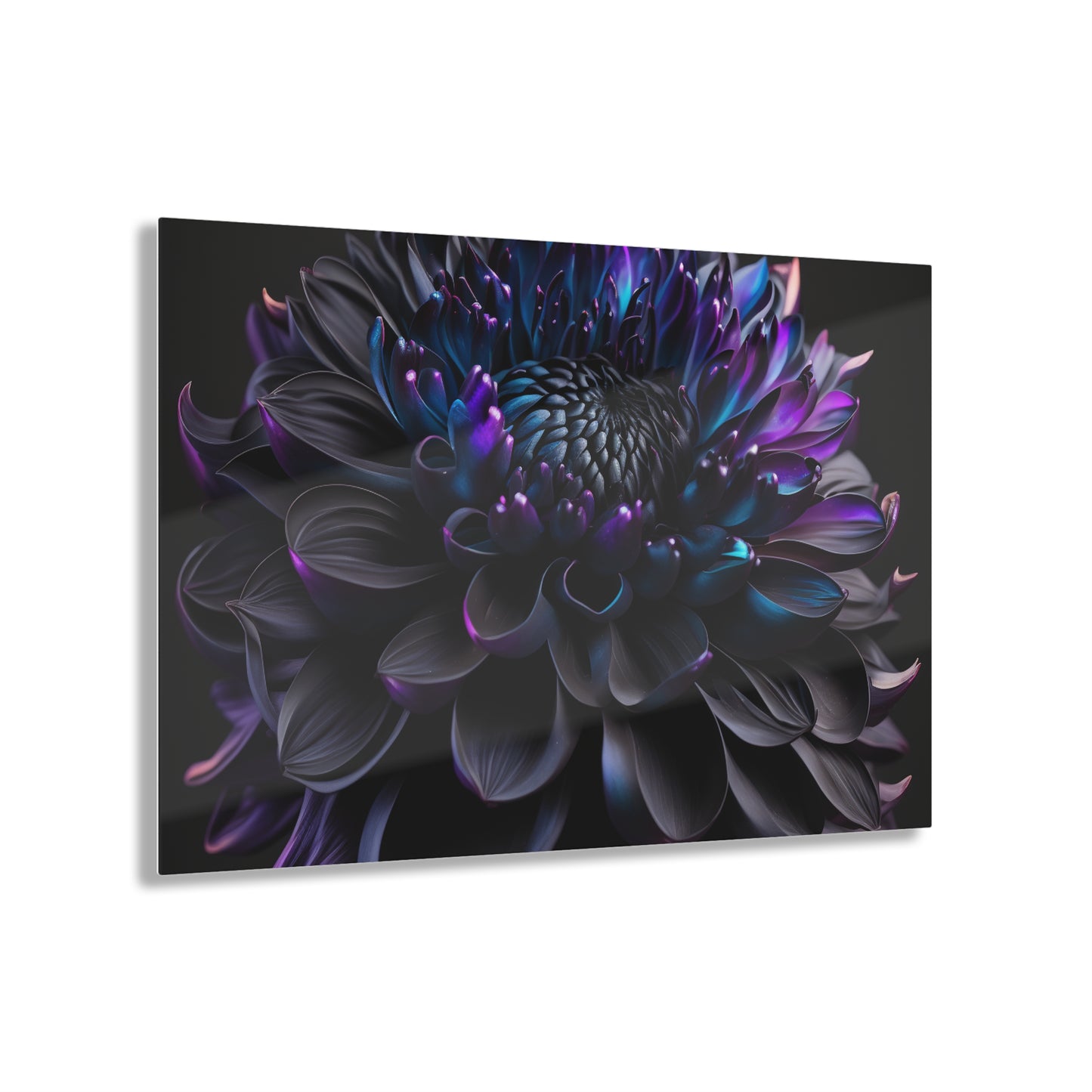 Acrylic Prints Dahlia Purple 2