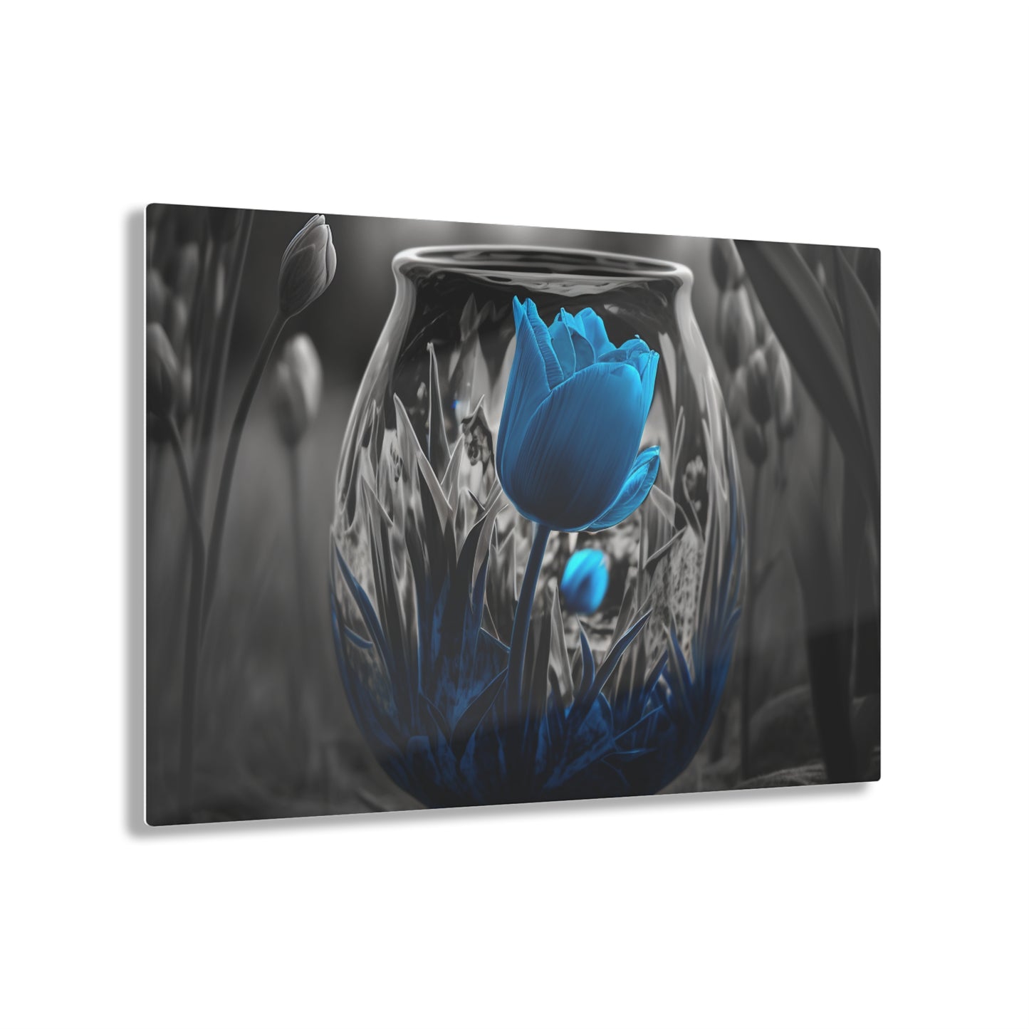 Acrylic Prints Tulip Blue 6