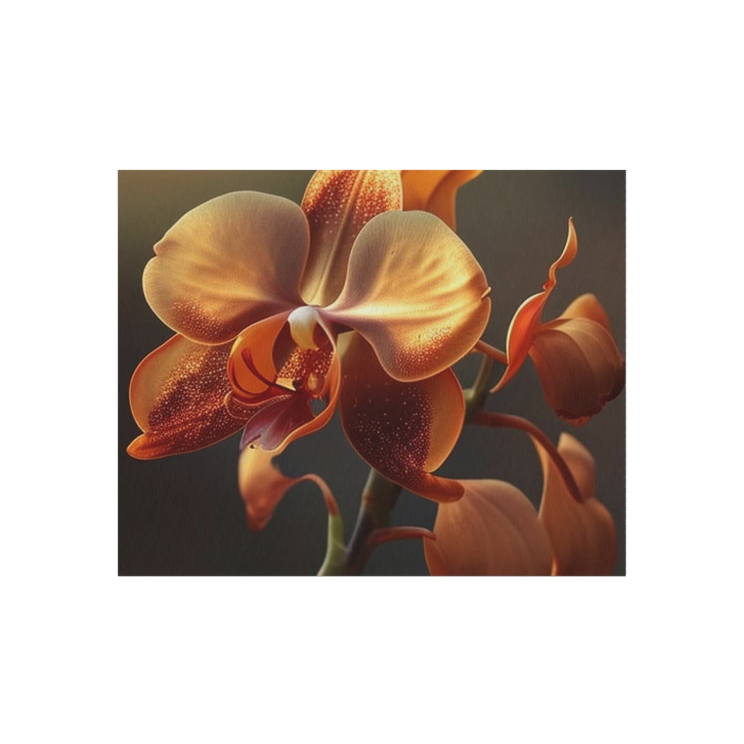 Outdoor Rug  Orange Orchid 1