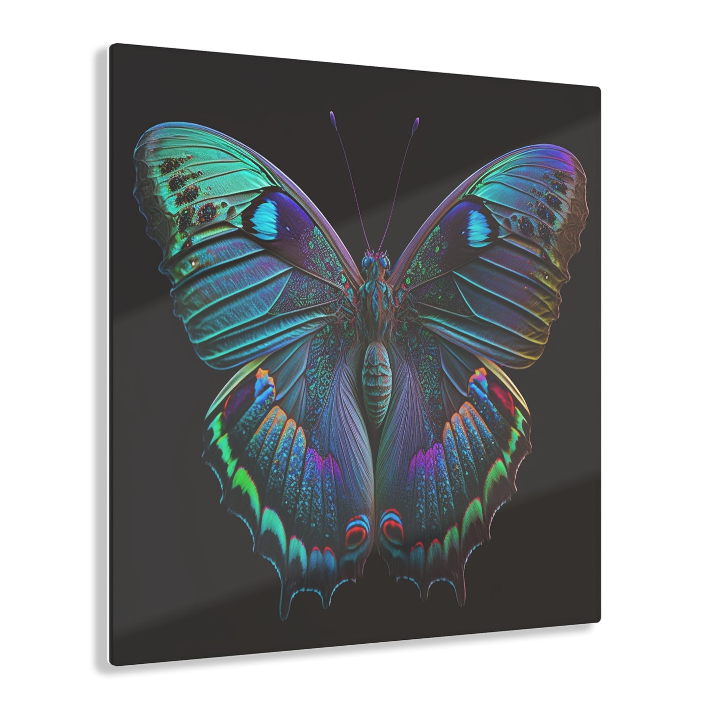 Acrylic Prints Hue Neon Butterfly 4