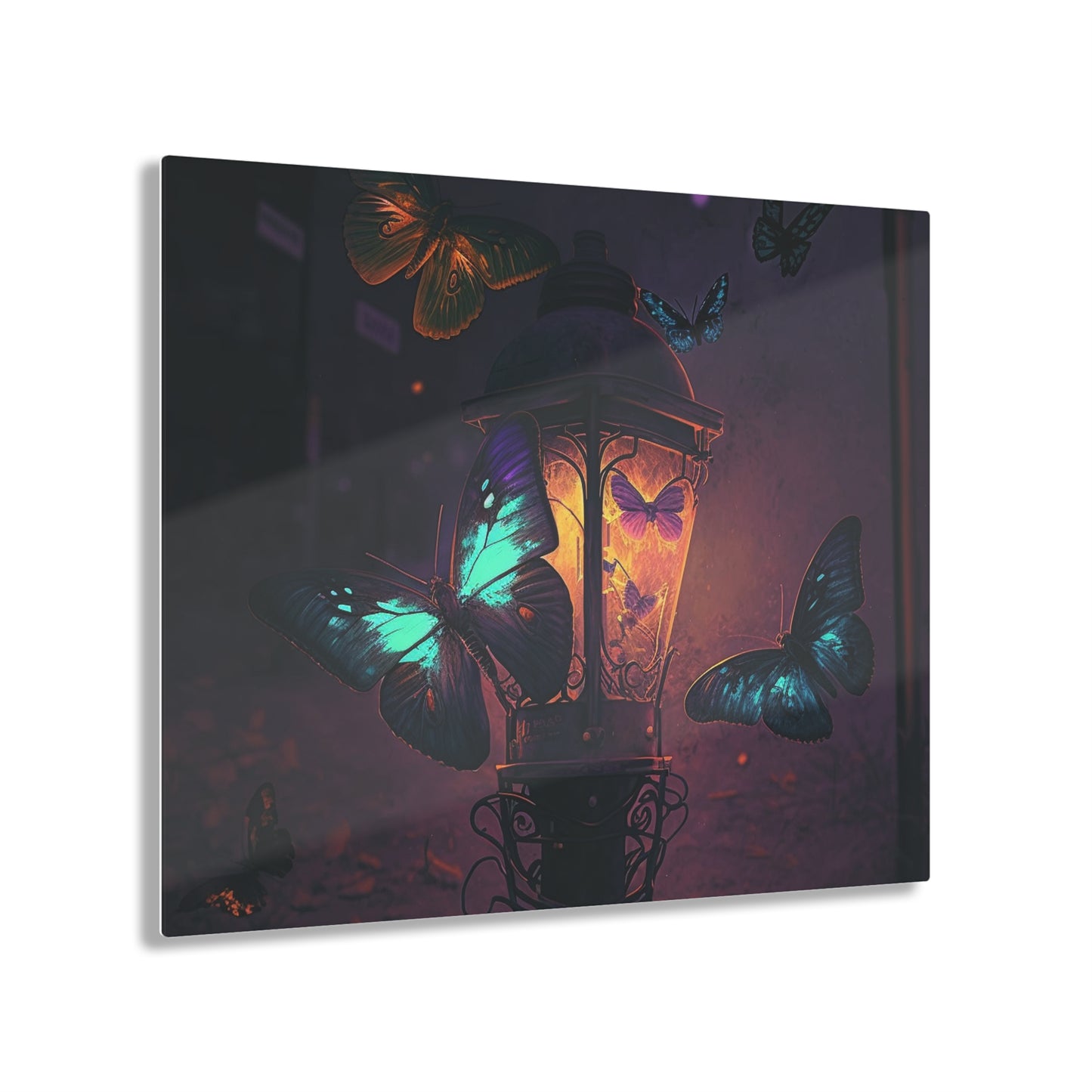 Acrylic Prints Street Light Butterfly 4