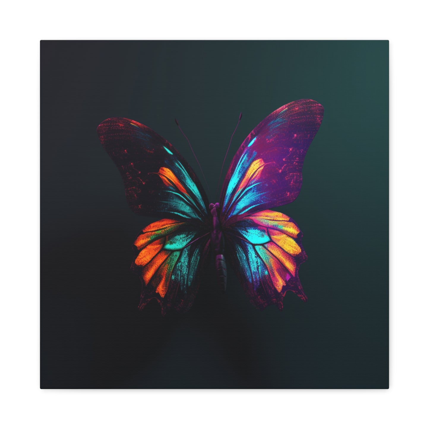 Canvas Gallery Wraps Hyper Colorful Butterfly Macro 4