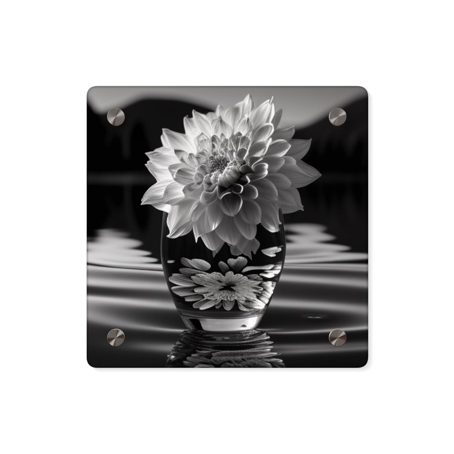 Acrylic Wall Art Panels White Dahlia 4