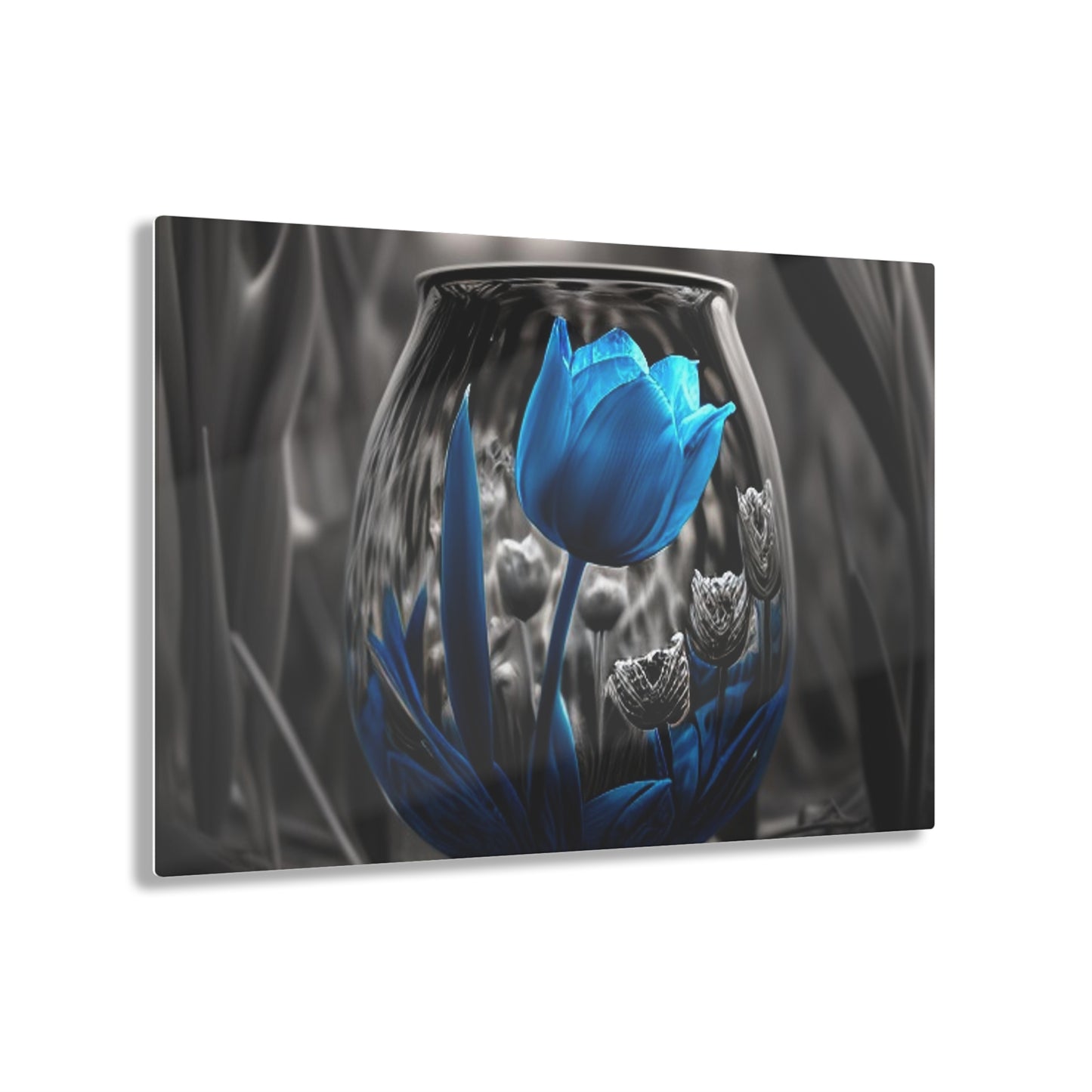 Acrylic Prints Tulip Blue 4