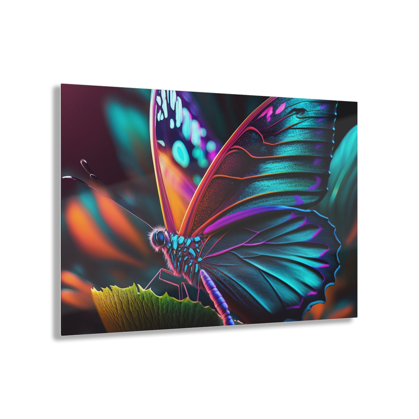 Acrylic Prints Neon Butterfly Macro 1