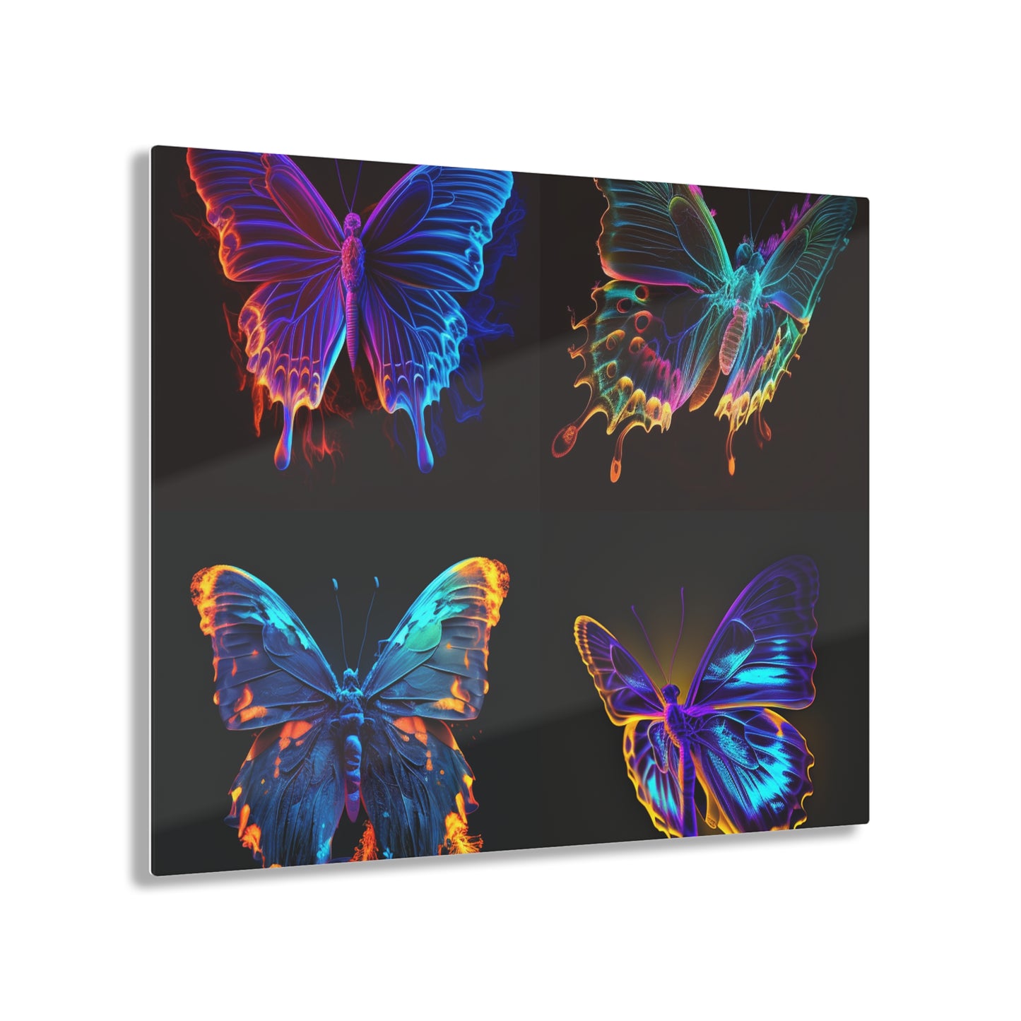 Acrylic Prints Thermal Butterfly 5