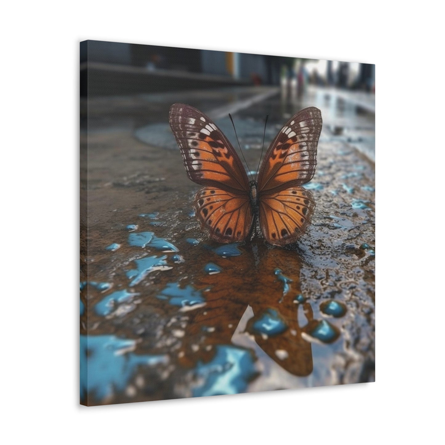 Canvas Gallery Wraps Water Butterfly Street 2