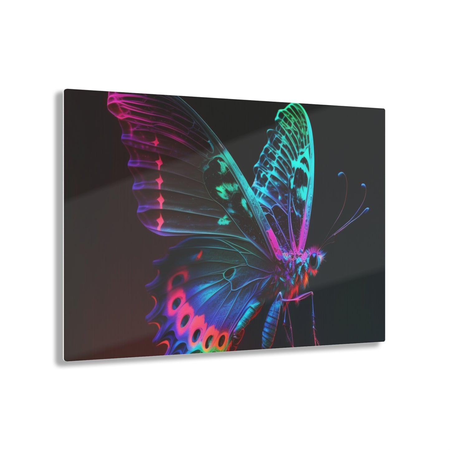 Acrylic Prints Raw Hyper Color Butterfly 1