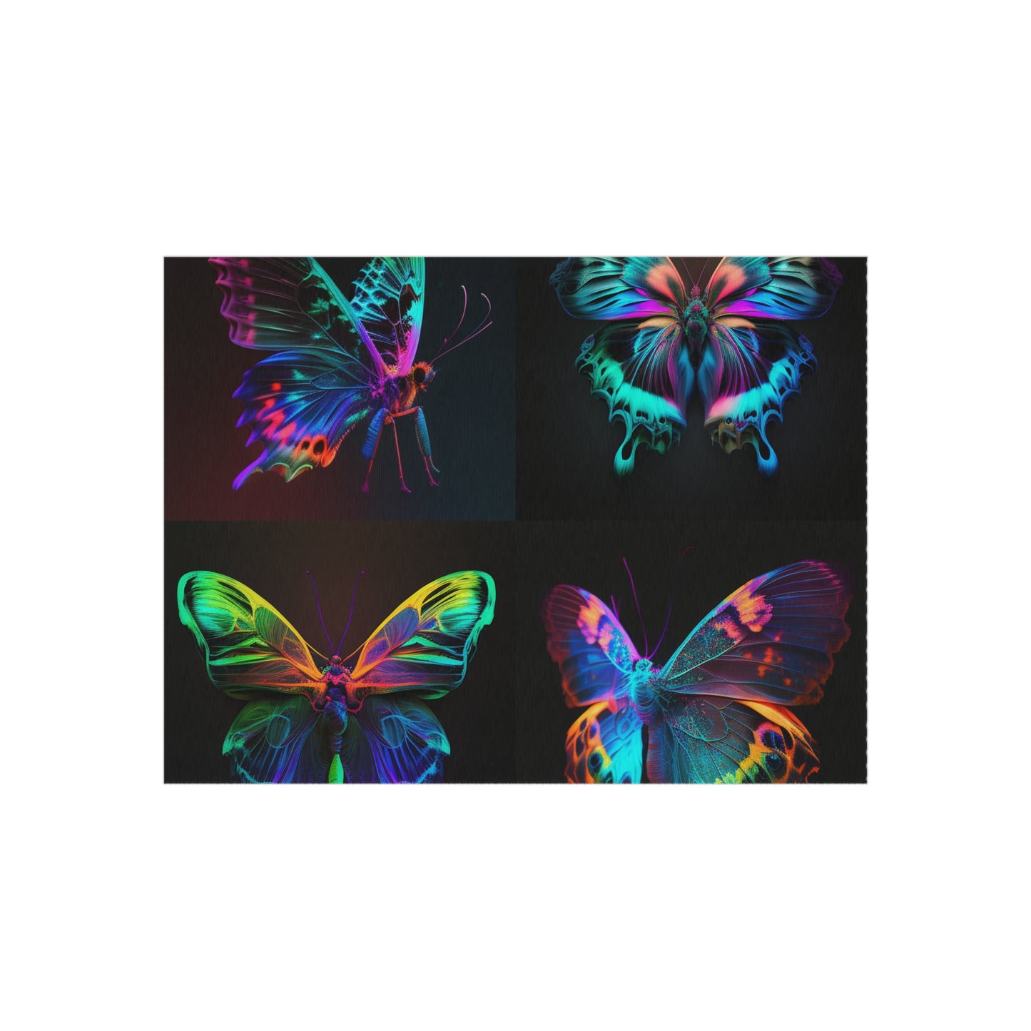 Outdoor Rug  Raw Hyper Color Butterfly 5