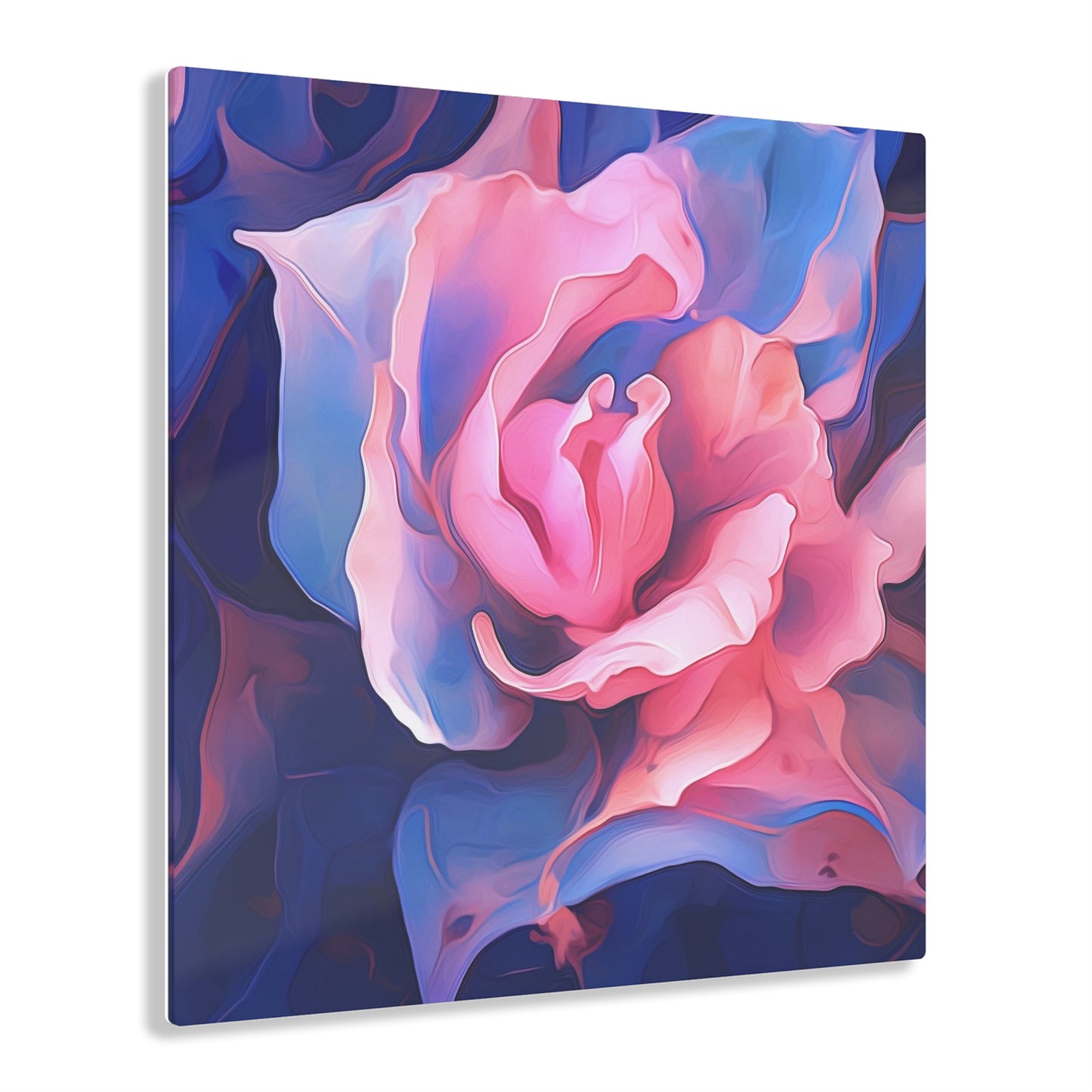 Acrylic Prints Pink & Blue Tulip Rose 1