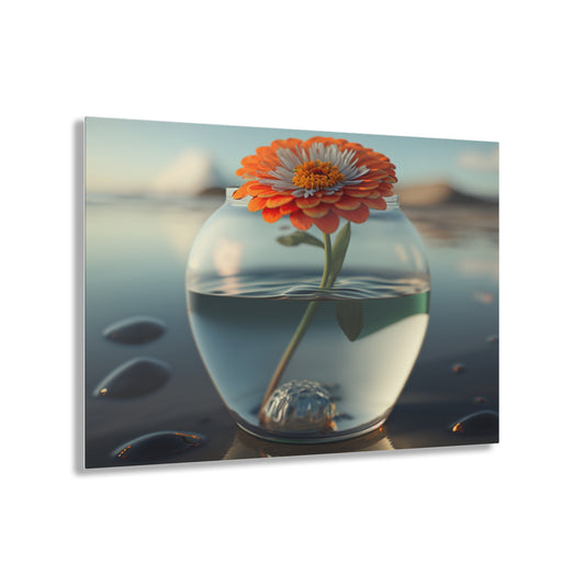 Acrylic Prints Orange Zinnia 3