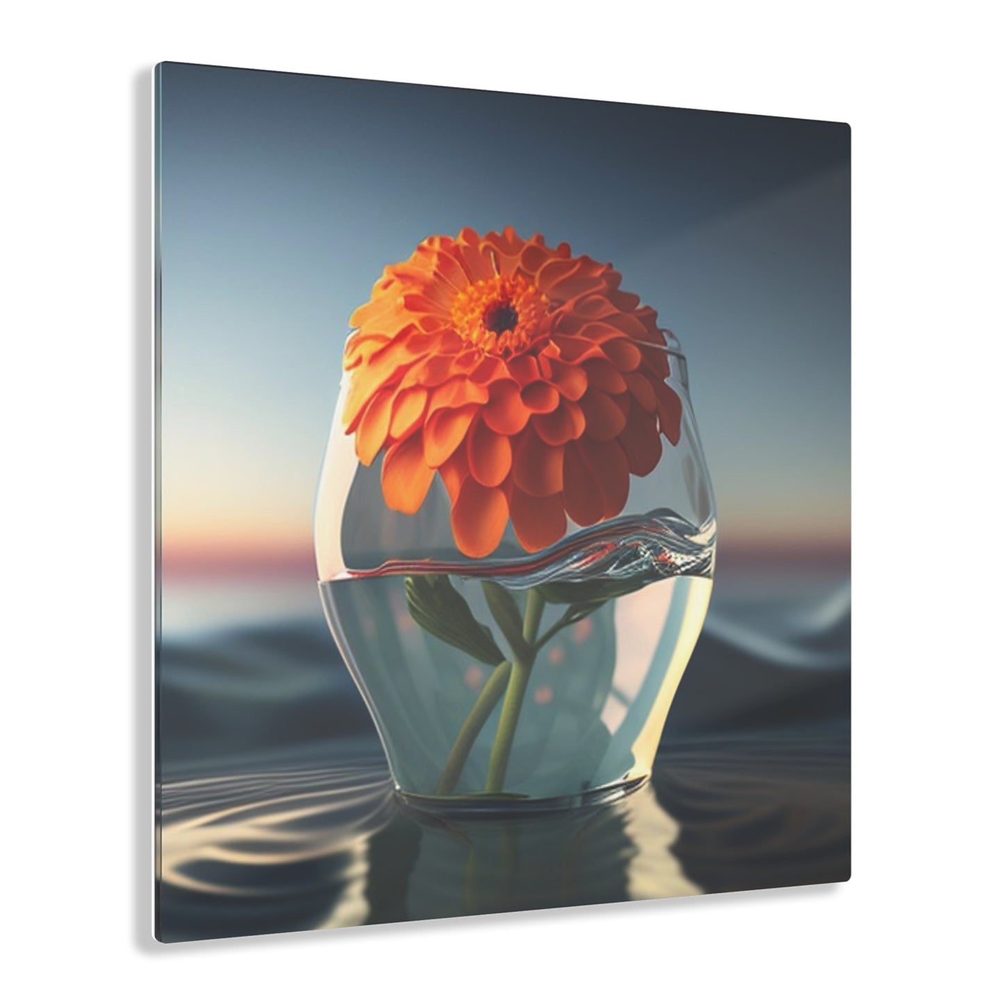 Acrylic Prints Orange Zinnia 4