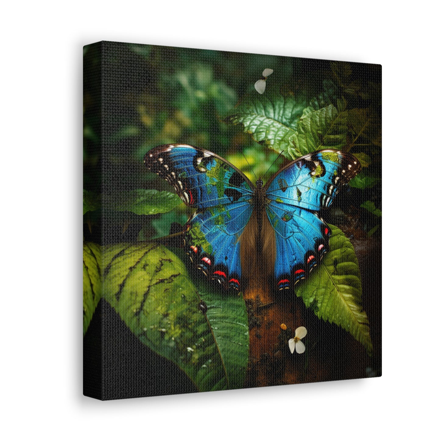 Canvas Gallery Wraps Jungle Butterfly 2