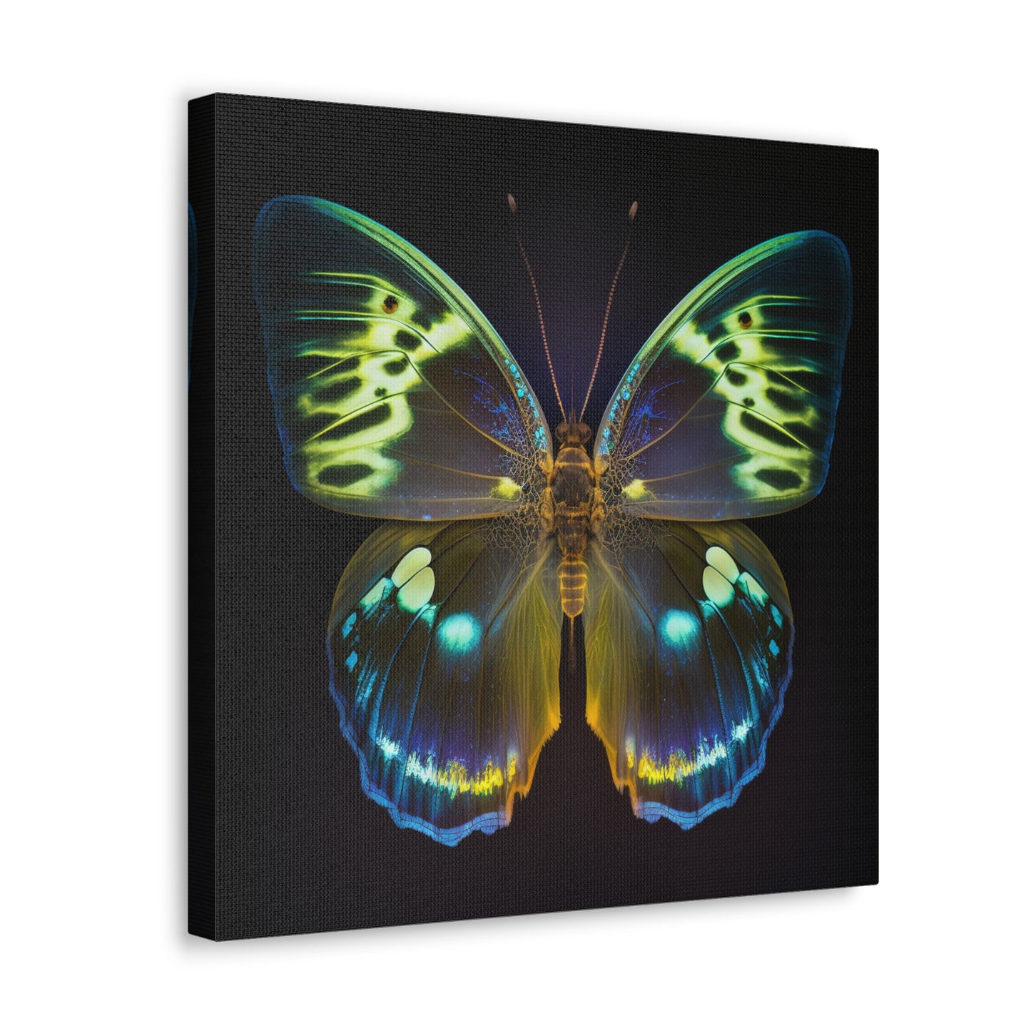 Canvas Gallery Wraps Neon Hue Butterfly 1