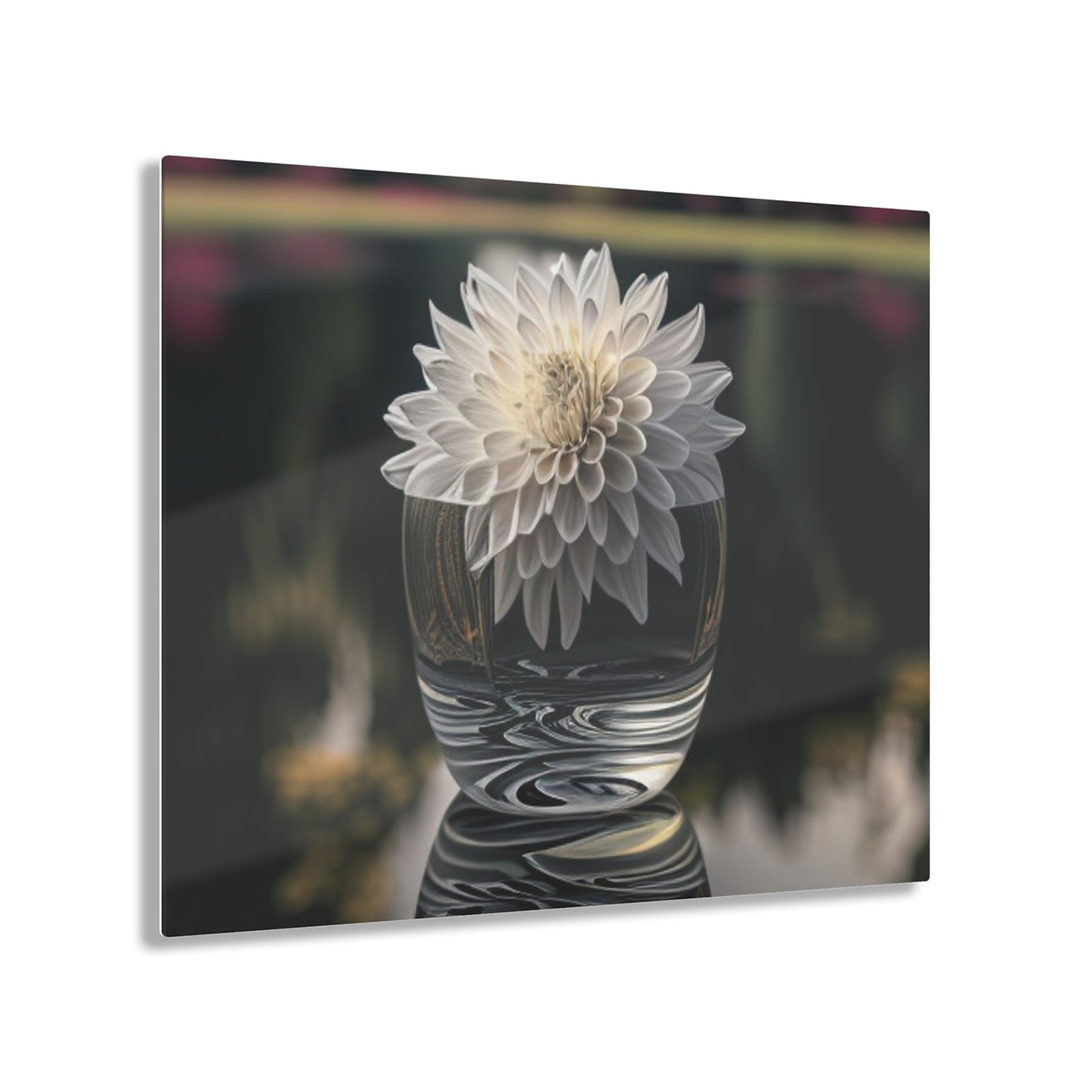 Acrylic Prints White Dahlia 2