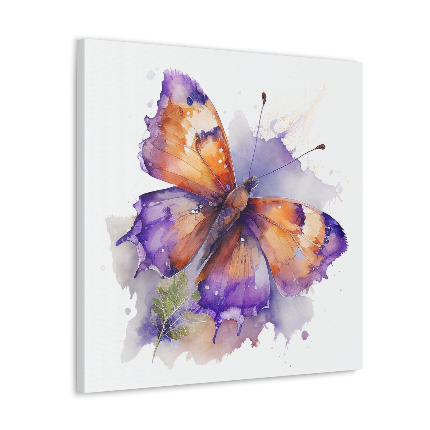 Canvas Gallery Wraps MerlinRose Watercolor Butterfly 2