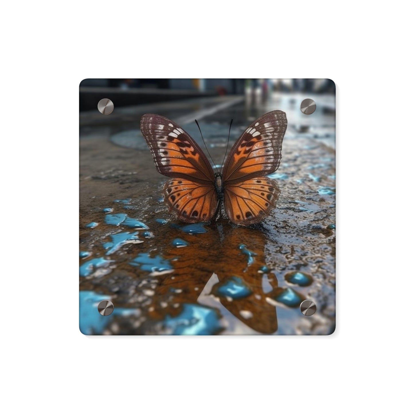 Acrylic Wall Art Panels Water Butterfly Street 2