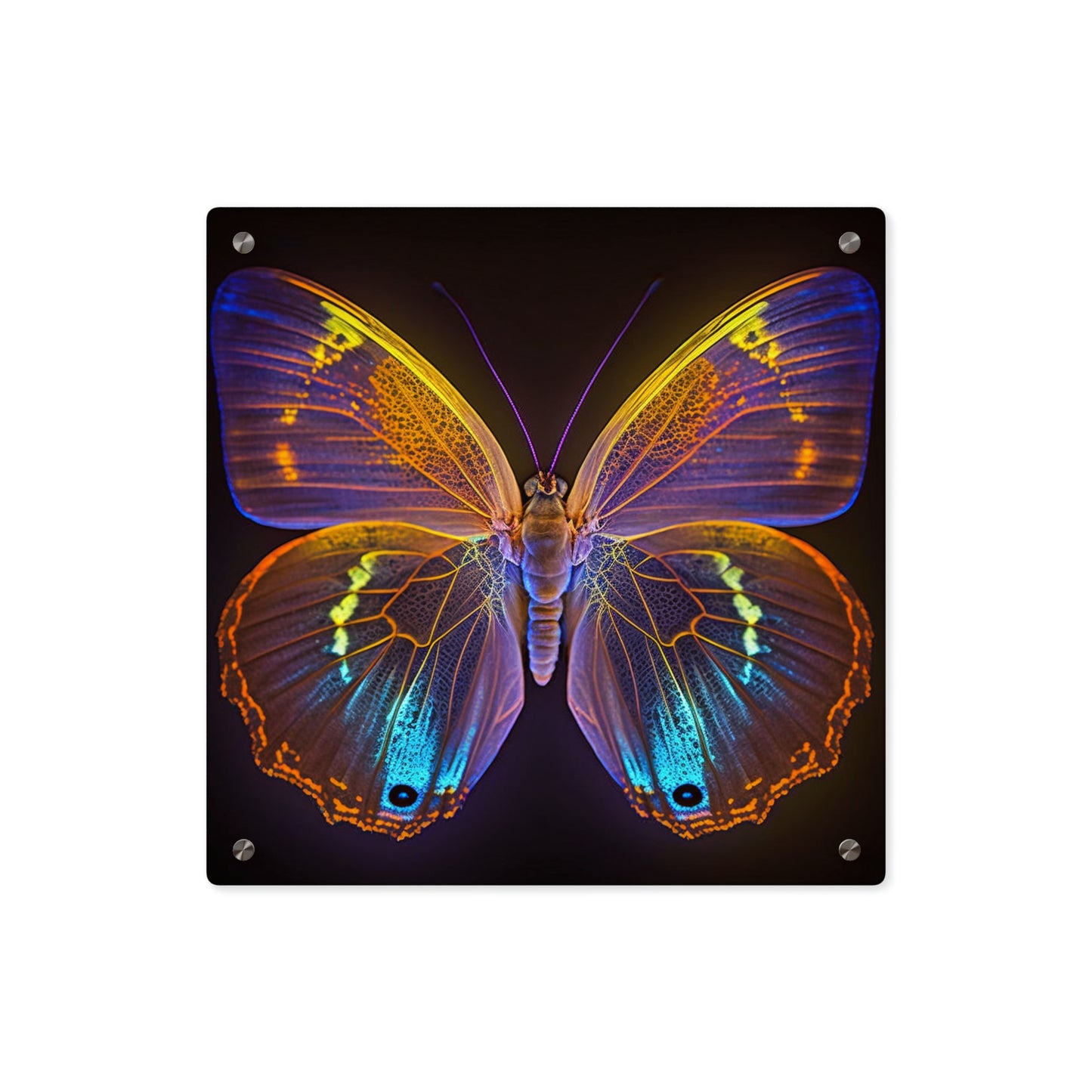 Acrylic Wall Art Panels Neon Butterfly Flair 2