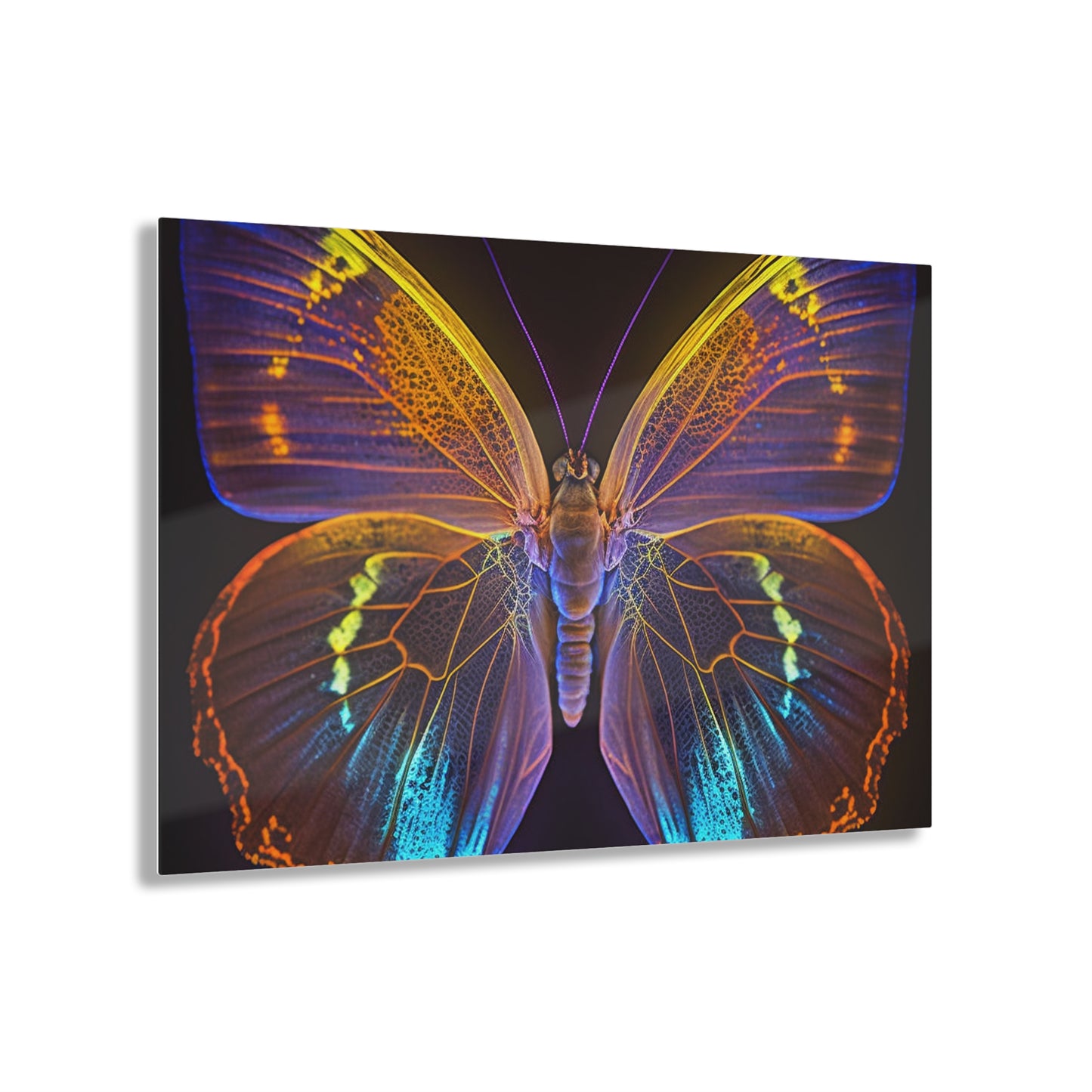 Acrylic Prints Neon Butterfly Flair 2