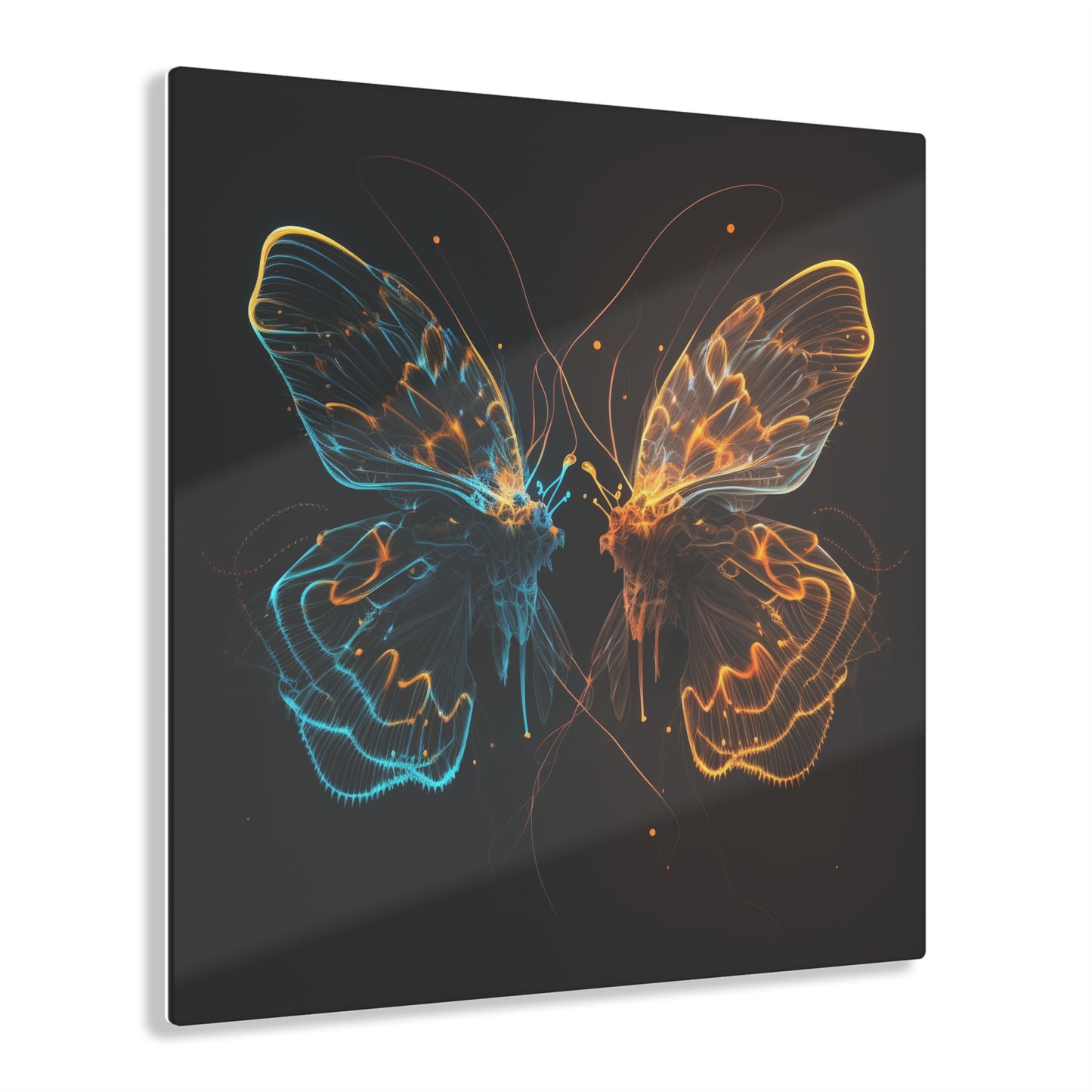 Acrylic Prints Neon Glo Butterfly 1