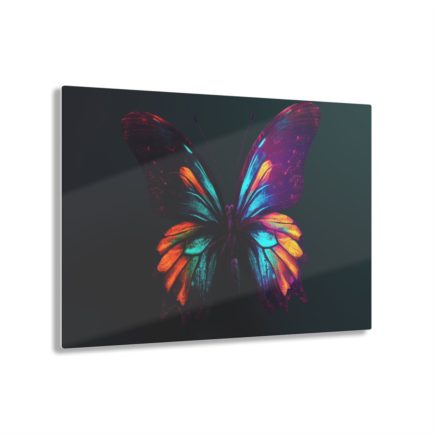 Acrylic Prints Hyper Colorful Butterfly Macro 4