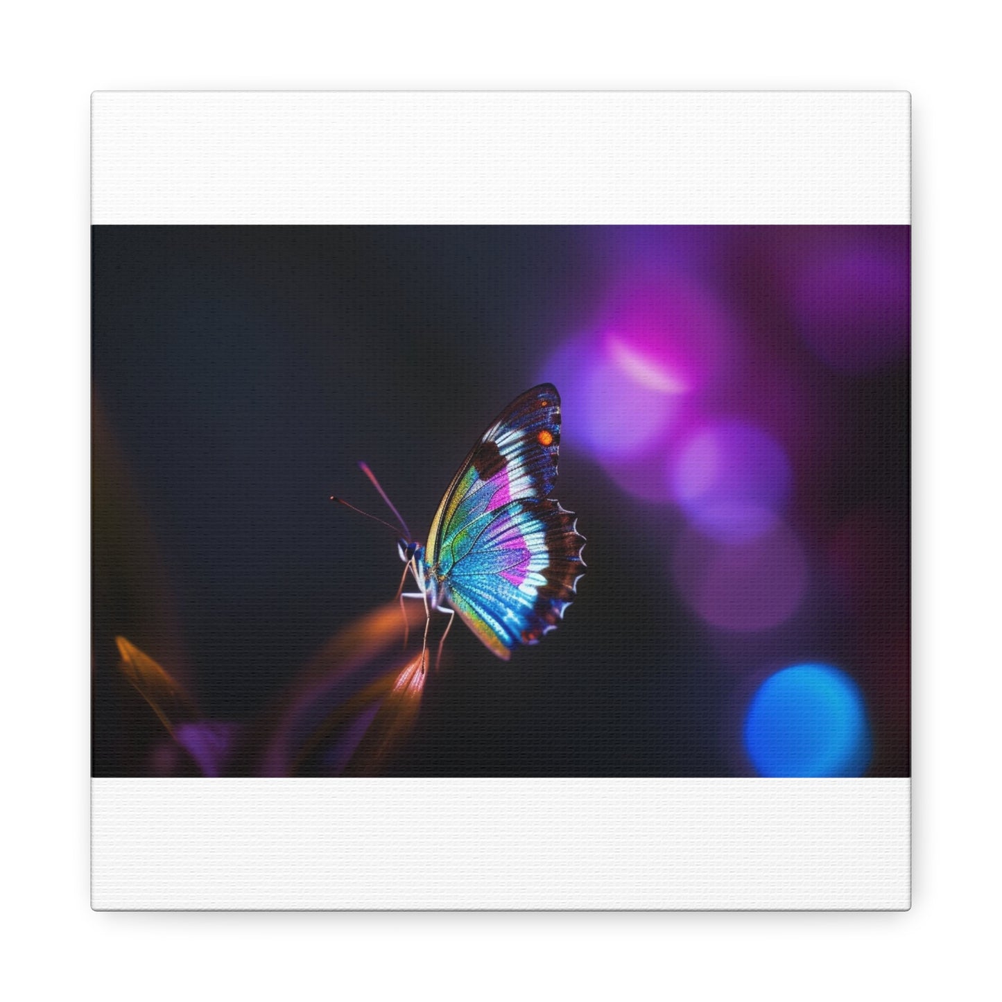 Canvas Gallery Wraps Photo Realistic Butterfly 1