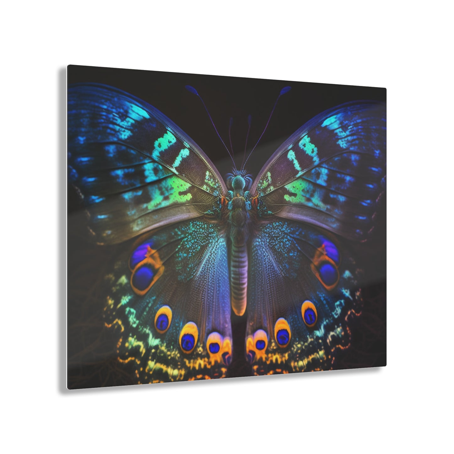 Acrylic Prints Neon Hue Butterfly 3