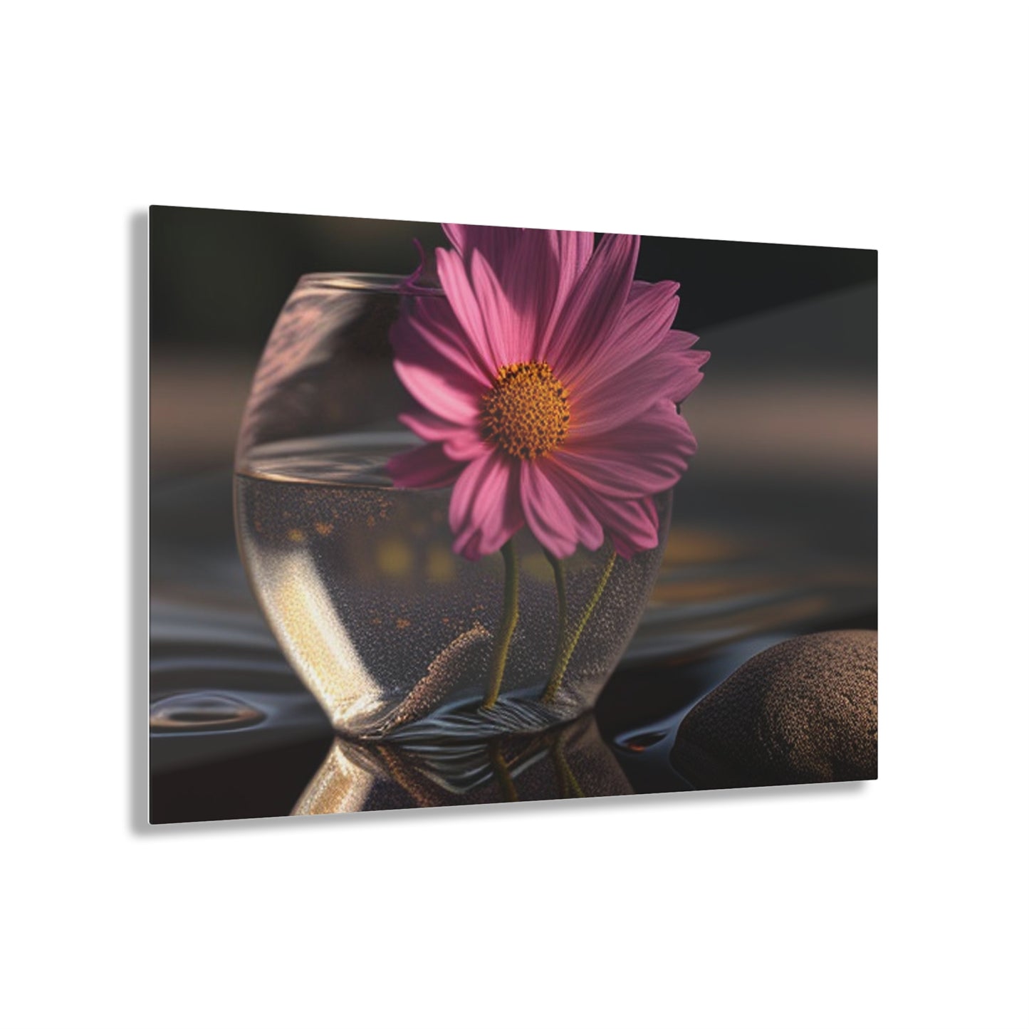 Acrylic Prints Pink Daisy 4