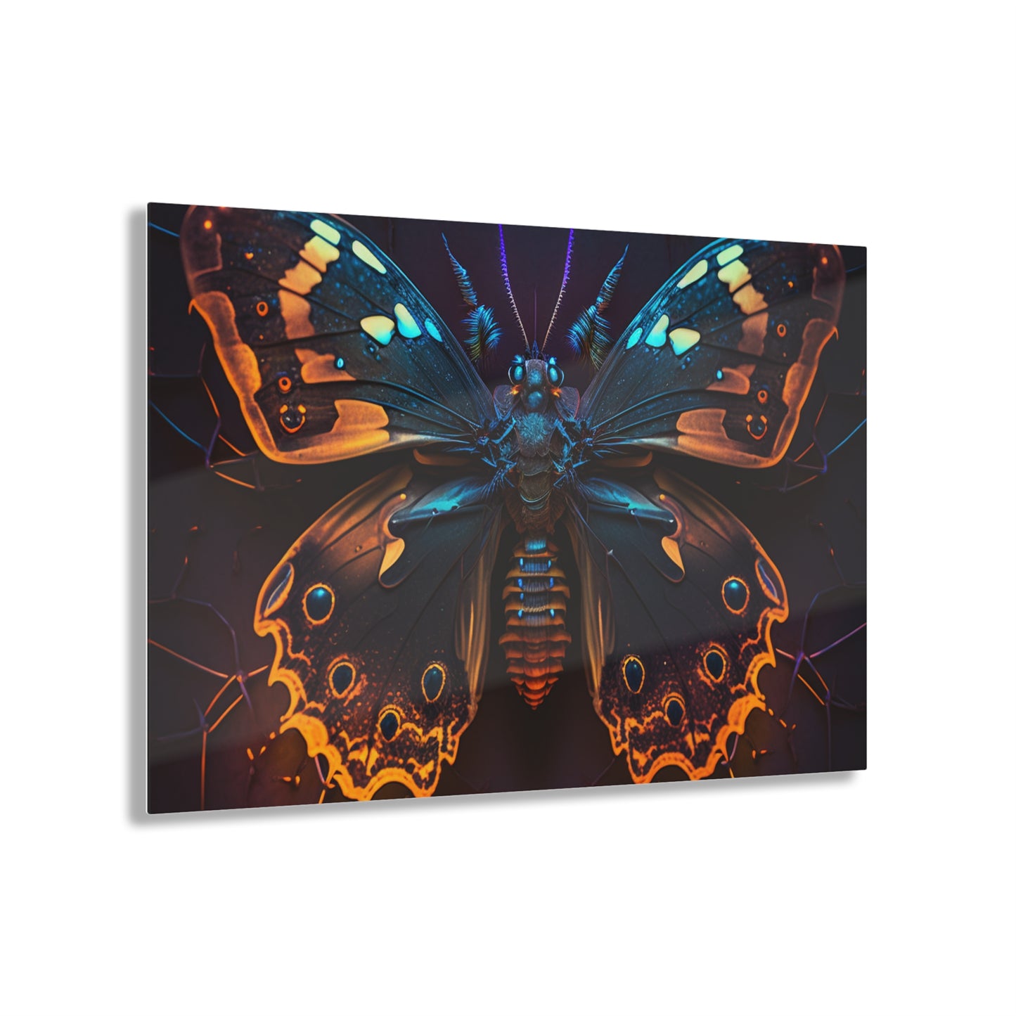 Acrylic Prints Neon Hue Butterfly 2