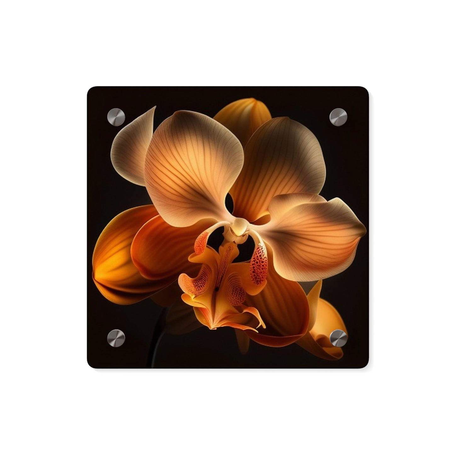 Acrylic Wall Art Panels Orange Orchid 2