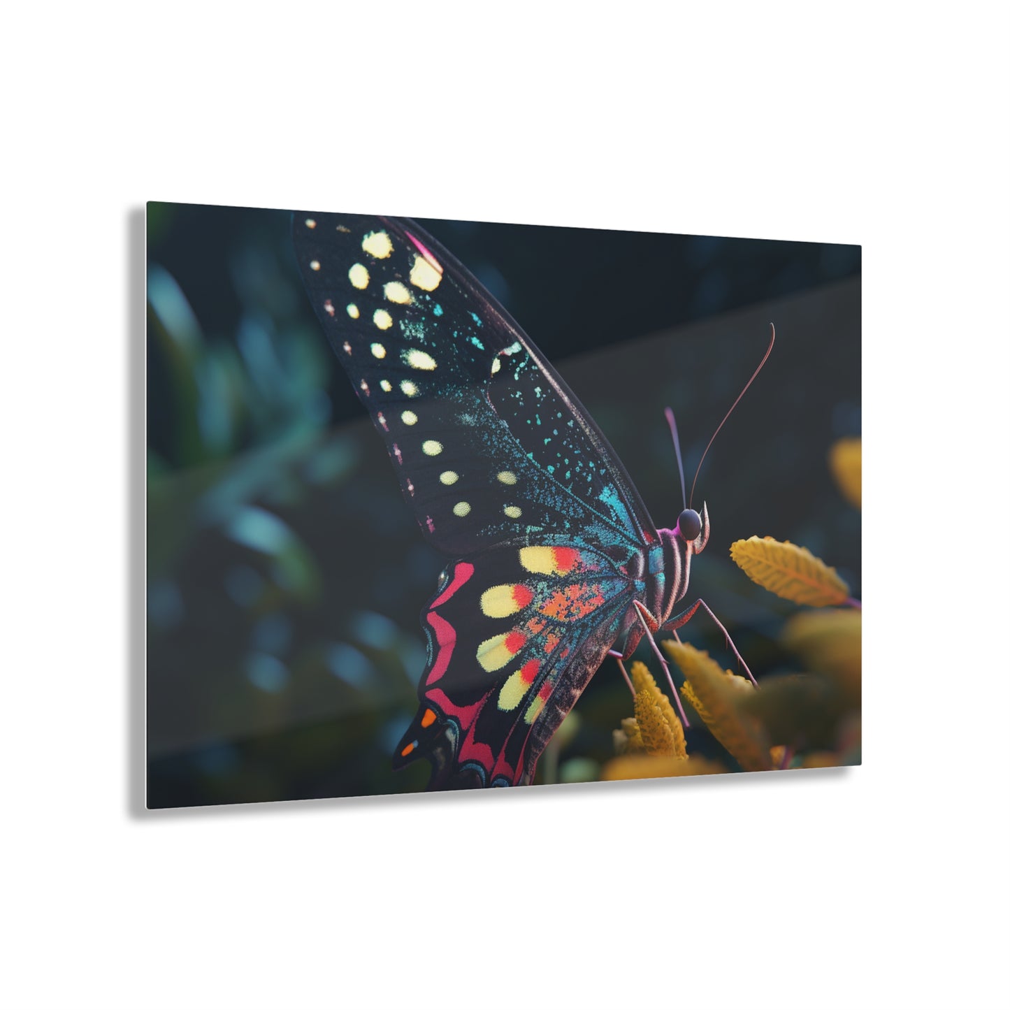 Acrylic Prints Hyper Colorful Butterfly Macro 2