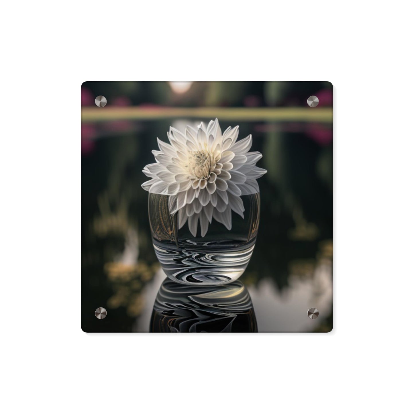 Acrylic Wall Art Panels White Dahlia 2